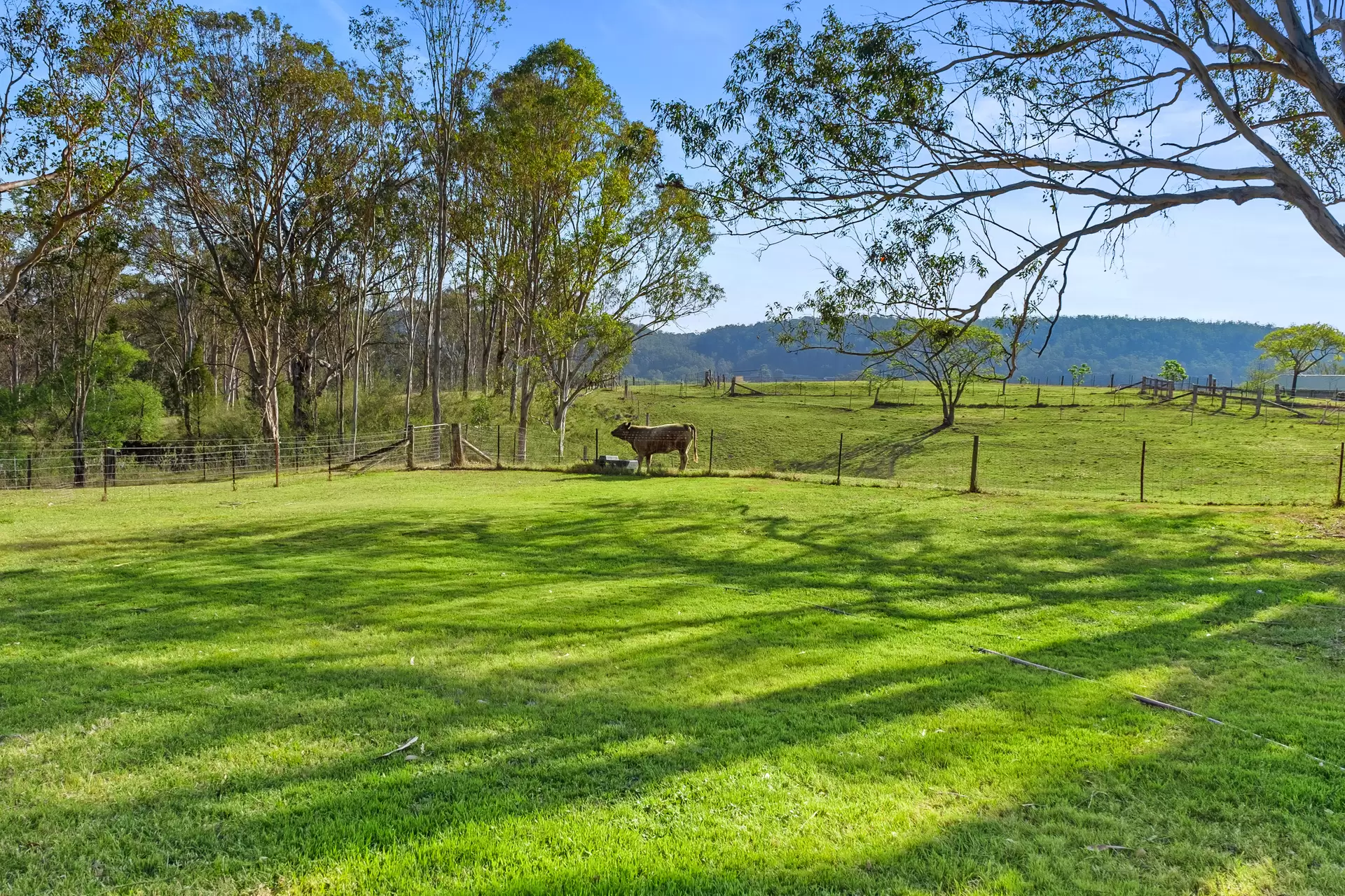 1500 Greendale Road, Wallacia For Sale by Cutcliffe Properties - image 1