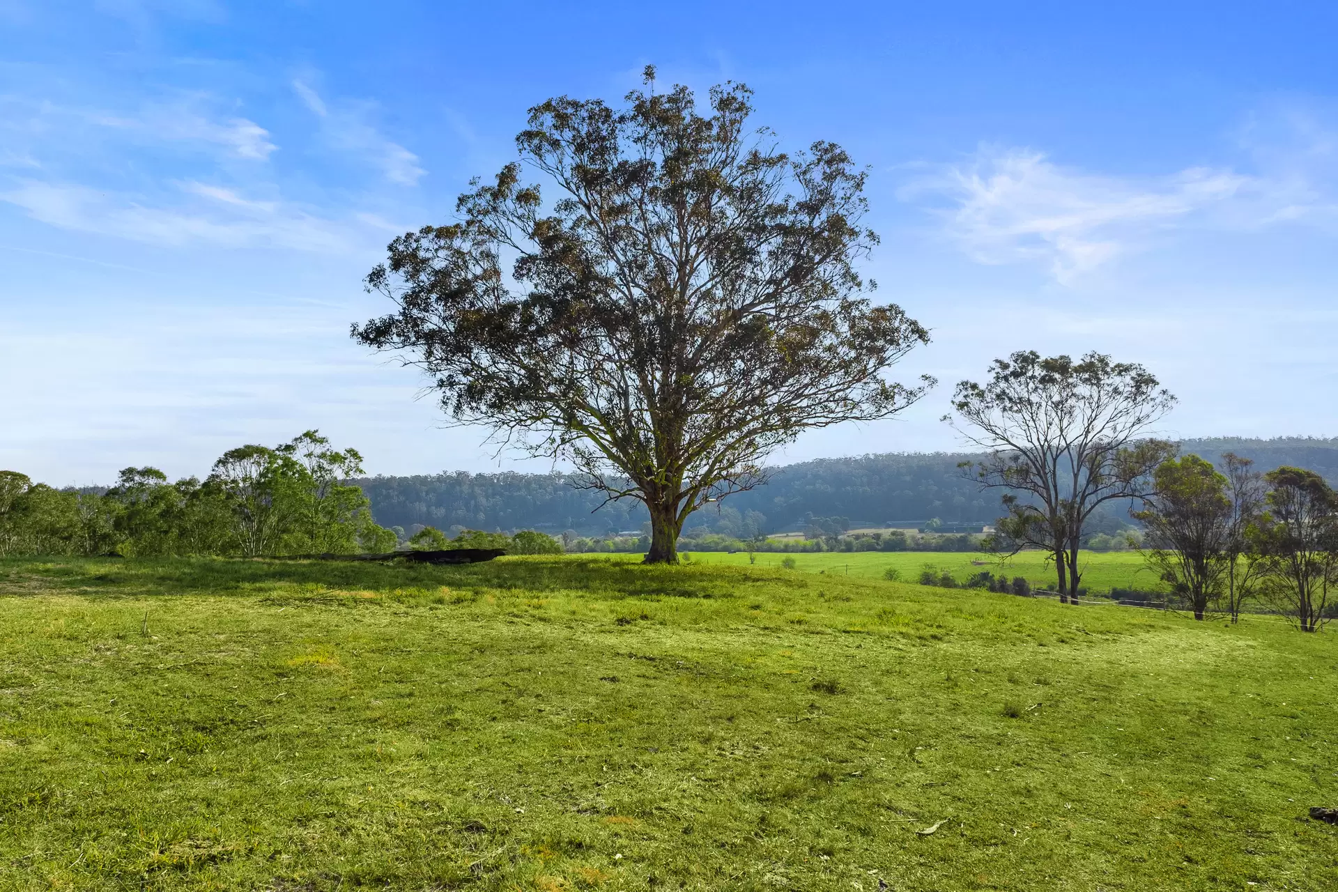 1500 Greendale Road, Wallacia For Sale by Cutcliffe Properties - image 1