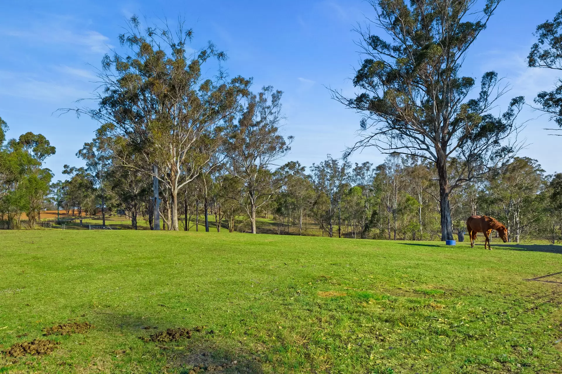 1500 Greendale Road, Wallacia For Sale by Cutcliffe Properties - image 1