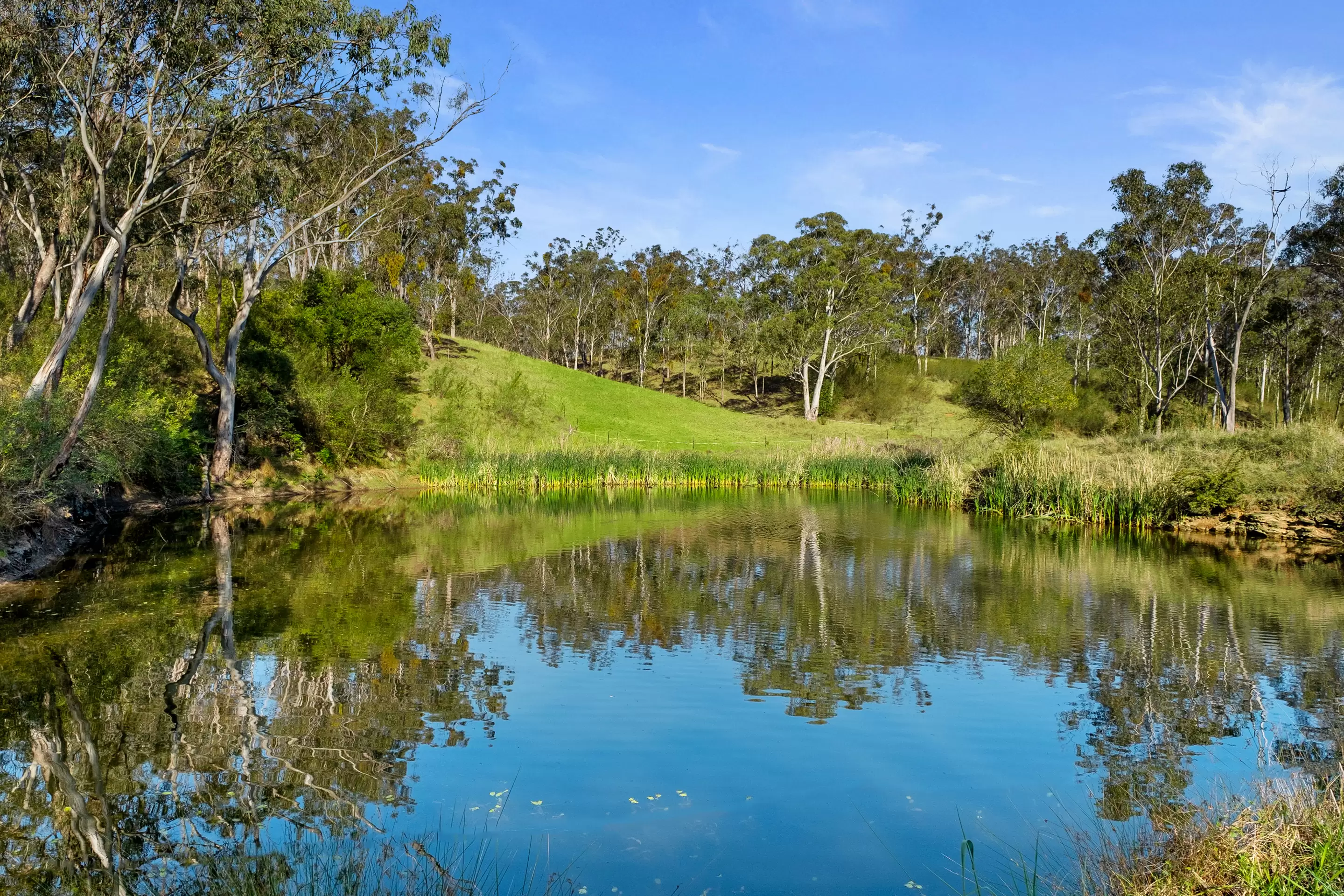 1500 Greendale Road, Wallacia For Sale by Cutcliffe Properties - image 8