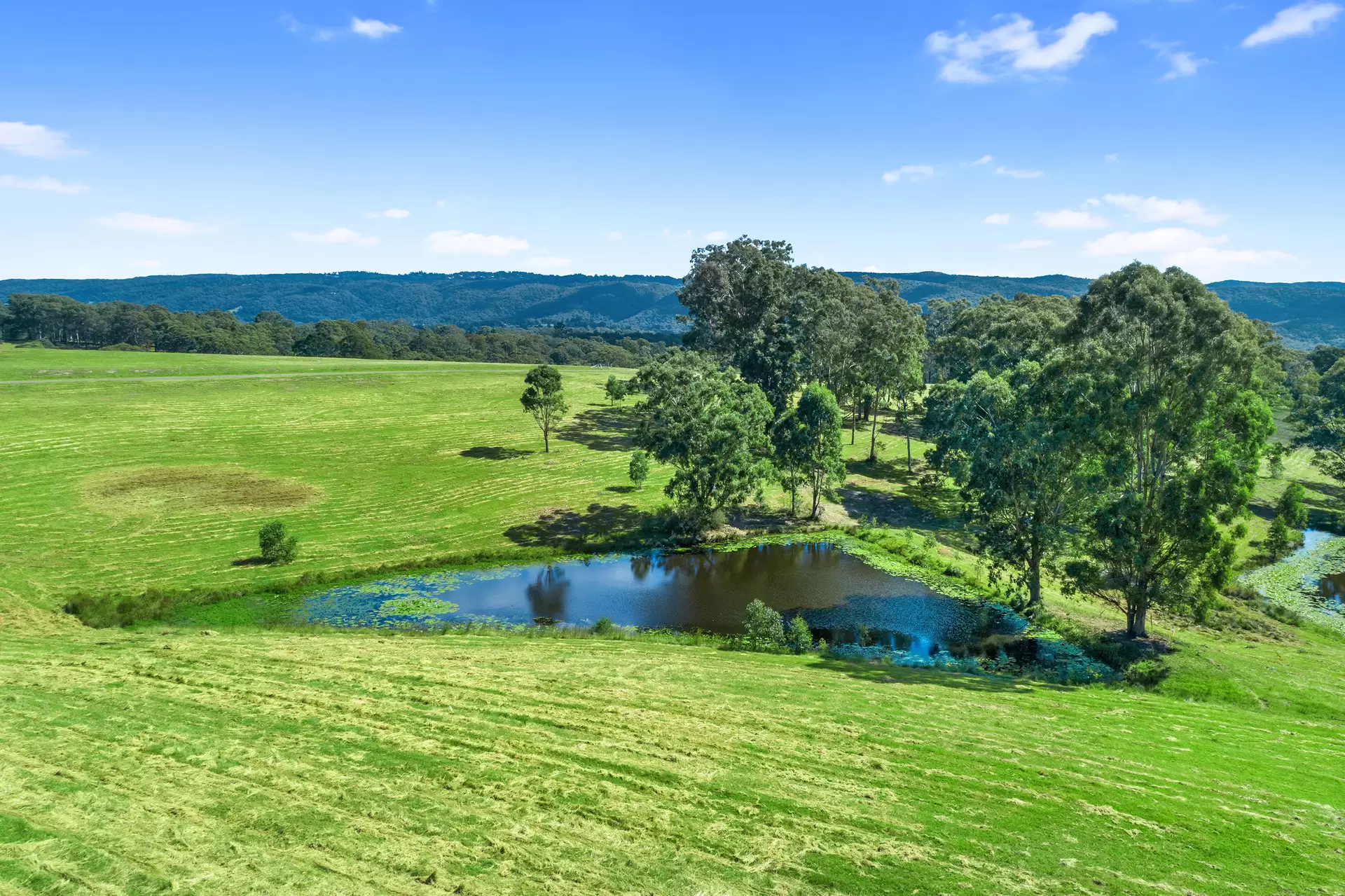 Proposed Lot 7 of 463 Comleroy Road, Kurrajong Sold by Cutcliffe Properties - image 1