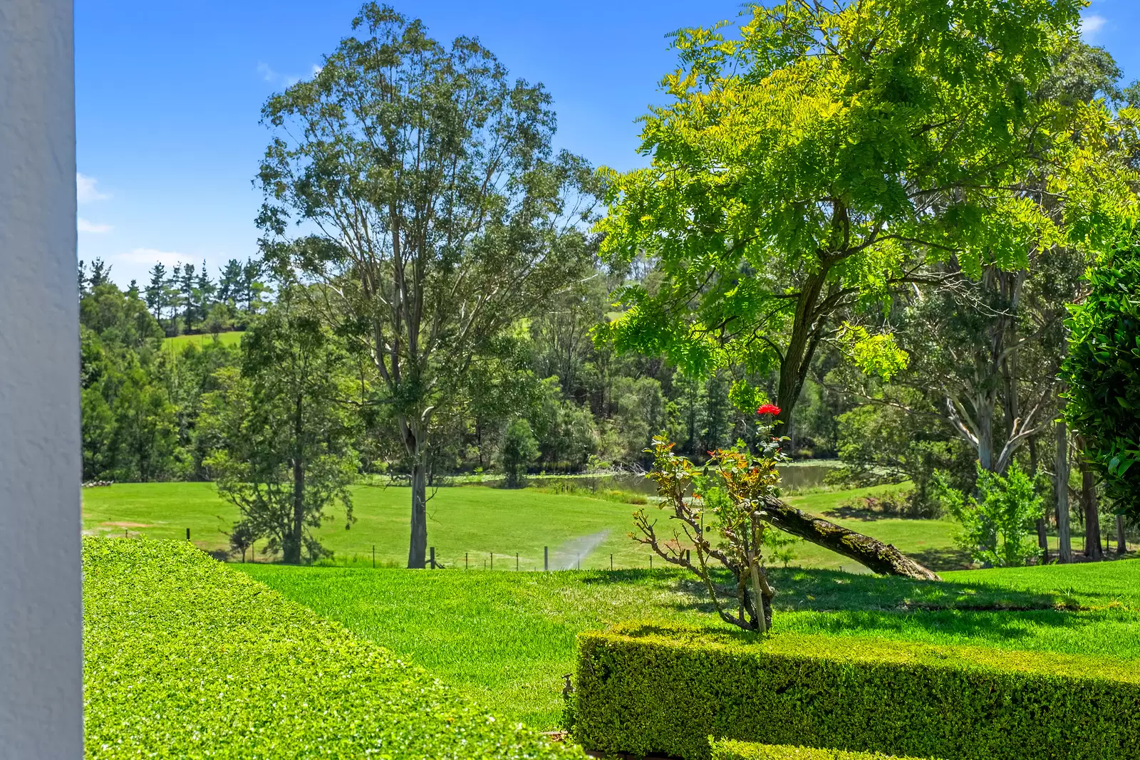 582 Bells Line of Road, Kurmond Auction by Cutcliffe Properties - image 26
