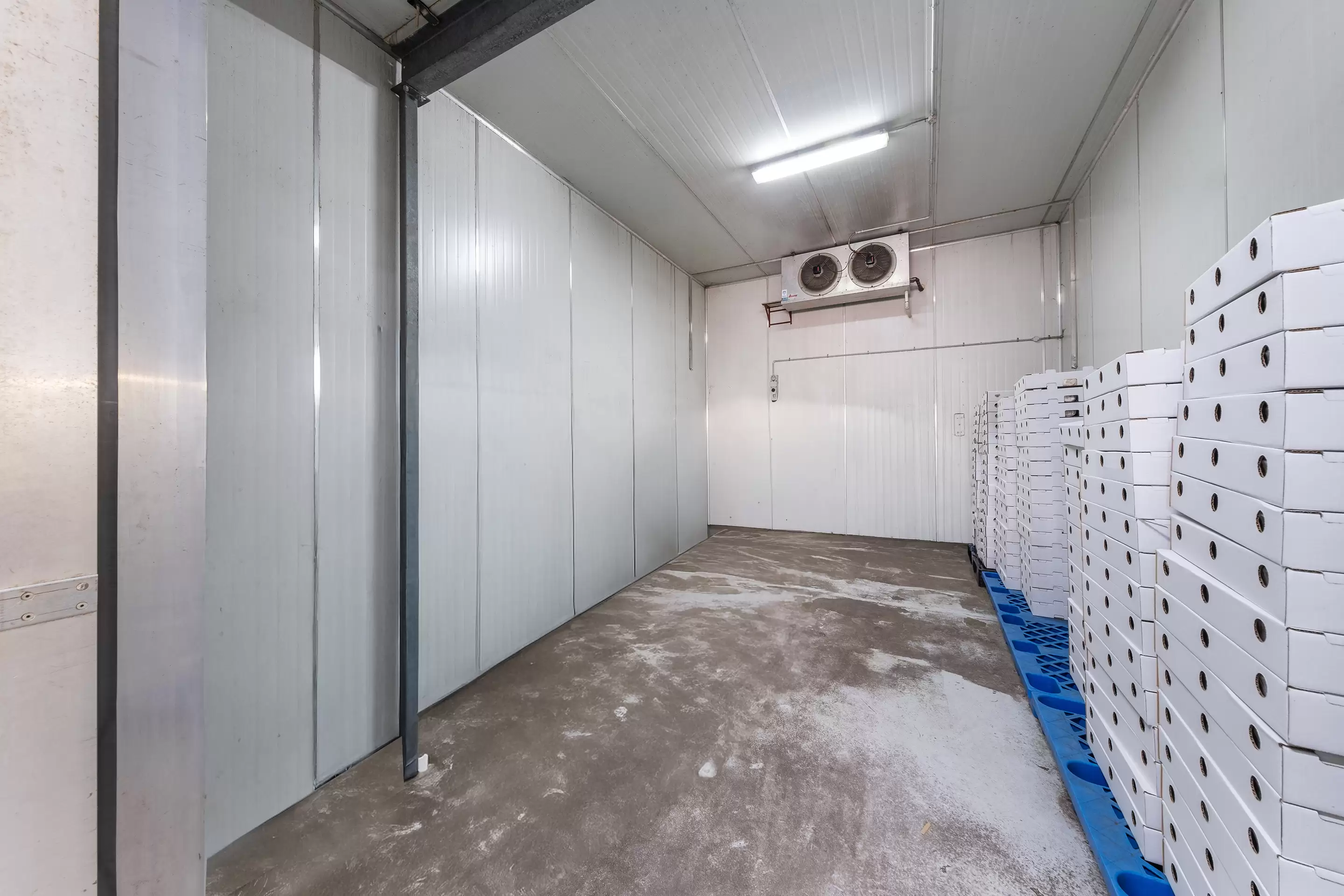 35 Woodlands Road & 18 Salters Road, Wilberforce For Sale by Cutcliffe Properties - image 19