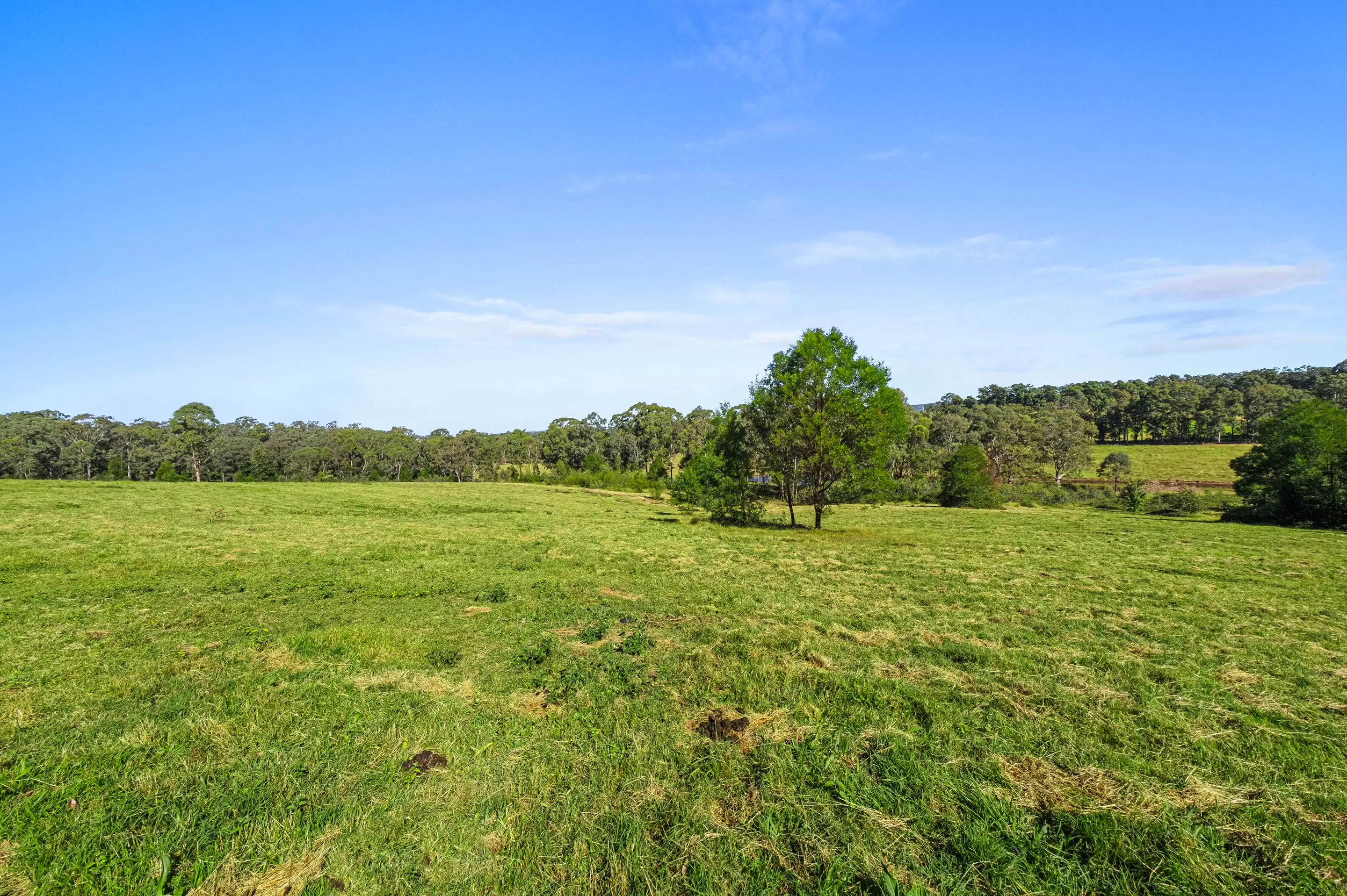 219 Bells Line of Road, North Richmond For Sale by Cutcliffe Properties - image 13