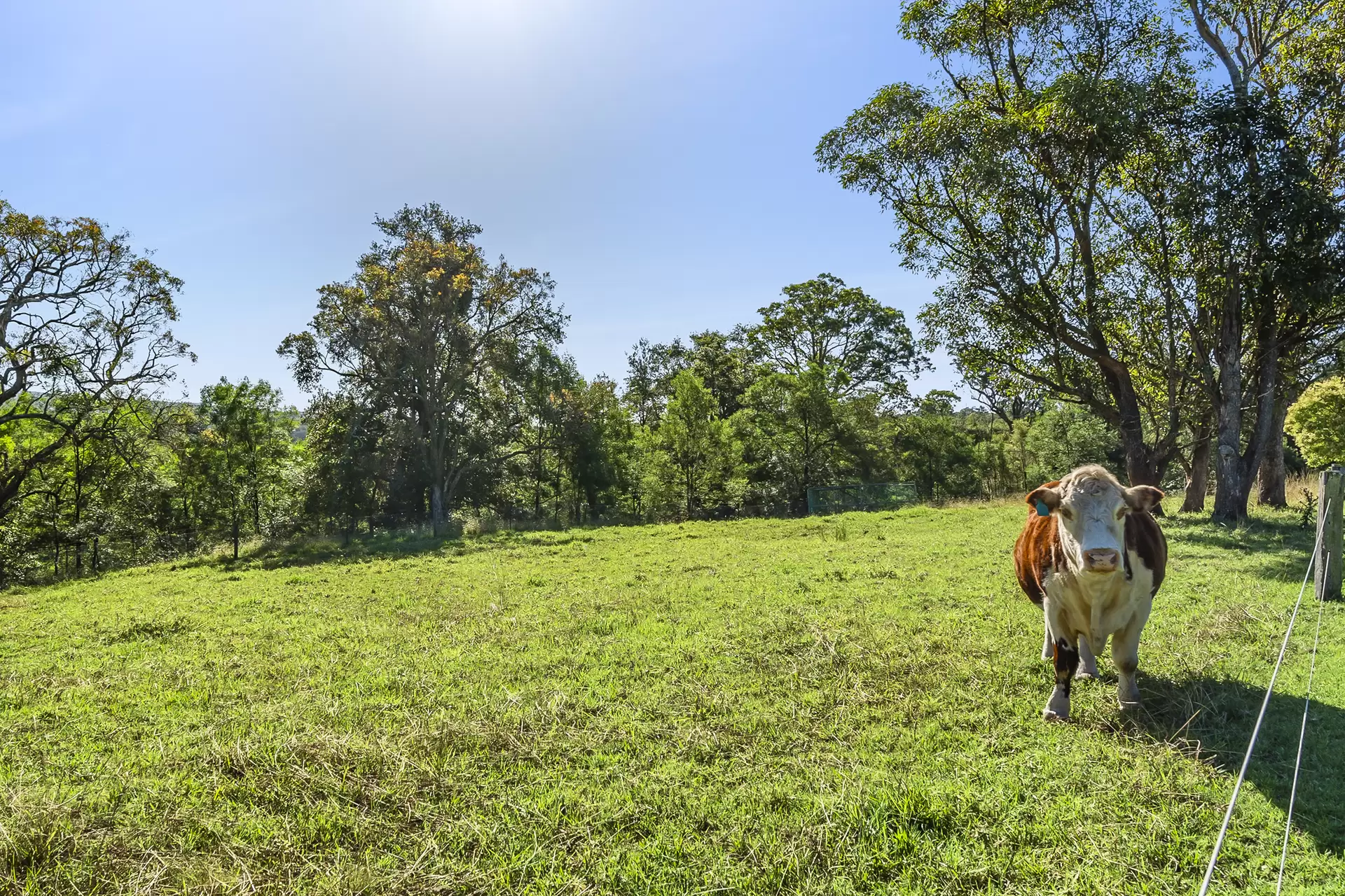 815 Comleroy Road, Kurrajong For Sale by Cutcliffe Properties - image 1