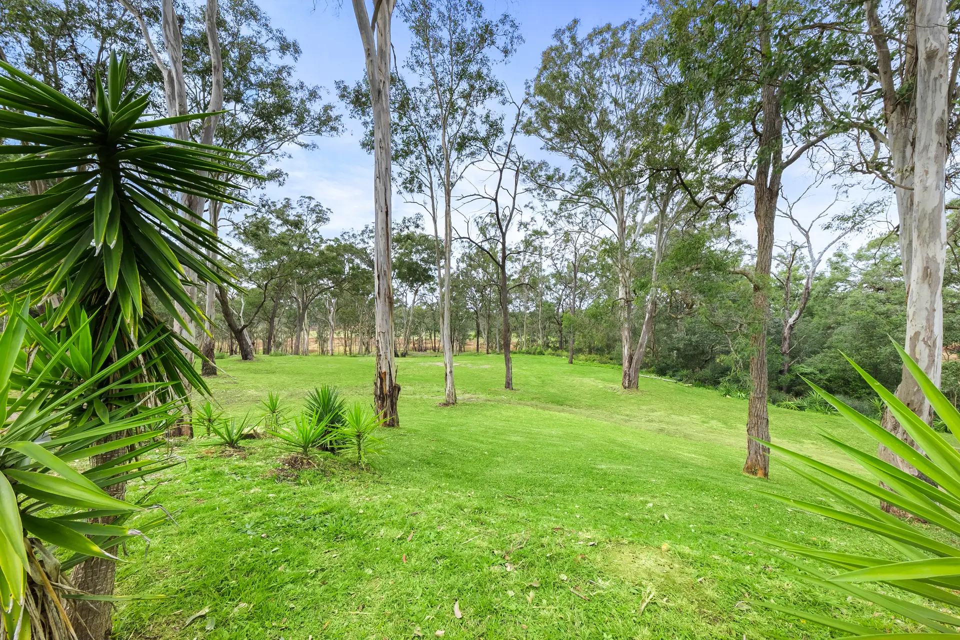 196 Royerdale Place, East Kurrajong Sold by Cutcliffe Properties - image 1