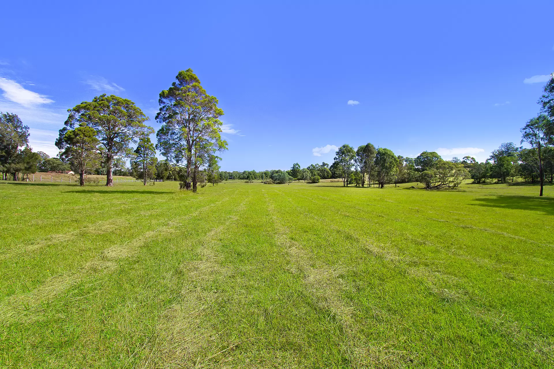 43 Meadows Road, North Richmond For Sale by Cutcliffe Properties - image 1