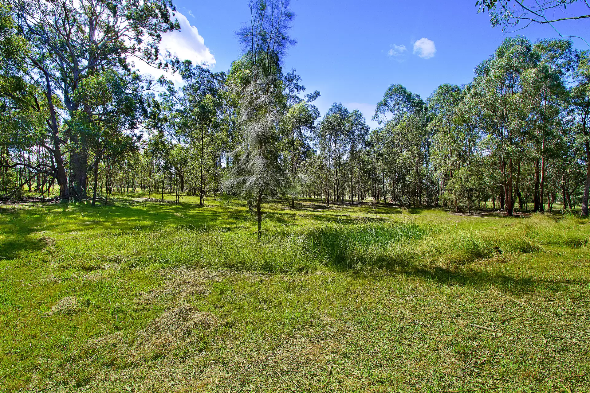 43 Meadows Road, North Richmond For Sale by Cutcliffe Properties - image 1