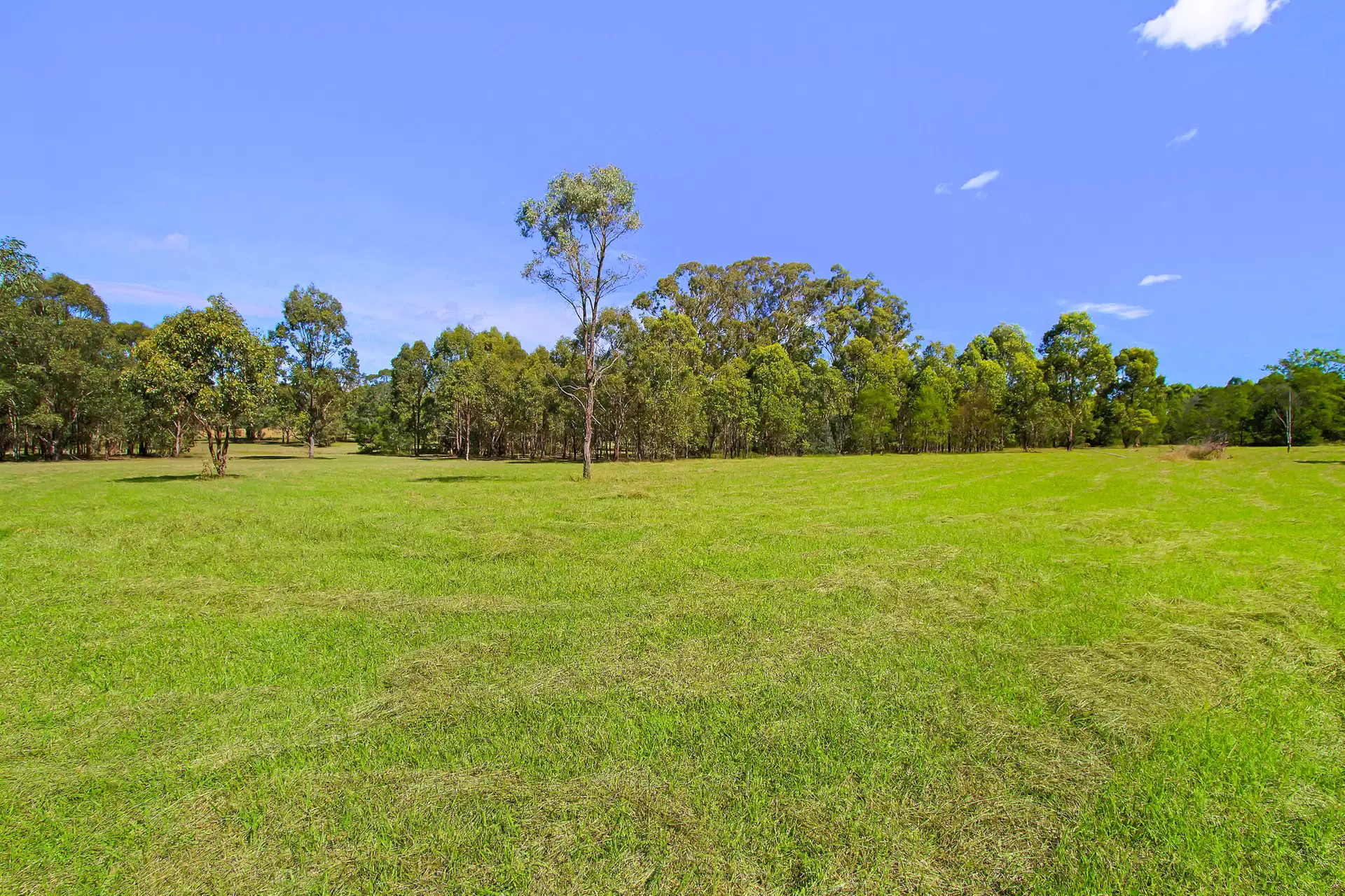 43 Meadows Road, North Richmond For Sale by Cutcliffe Properties - image 1