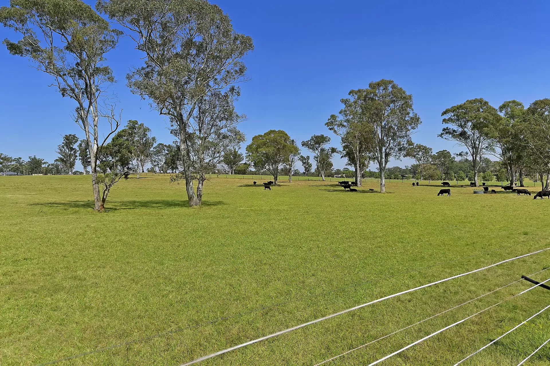 Lot 1, 2 & 3, 35 Hadden Ridge Road, Wilberforce For Sale by Cutcliffe Properties - image 1