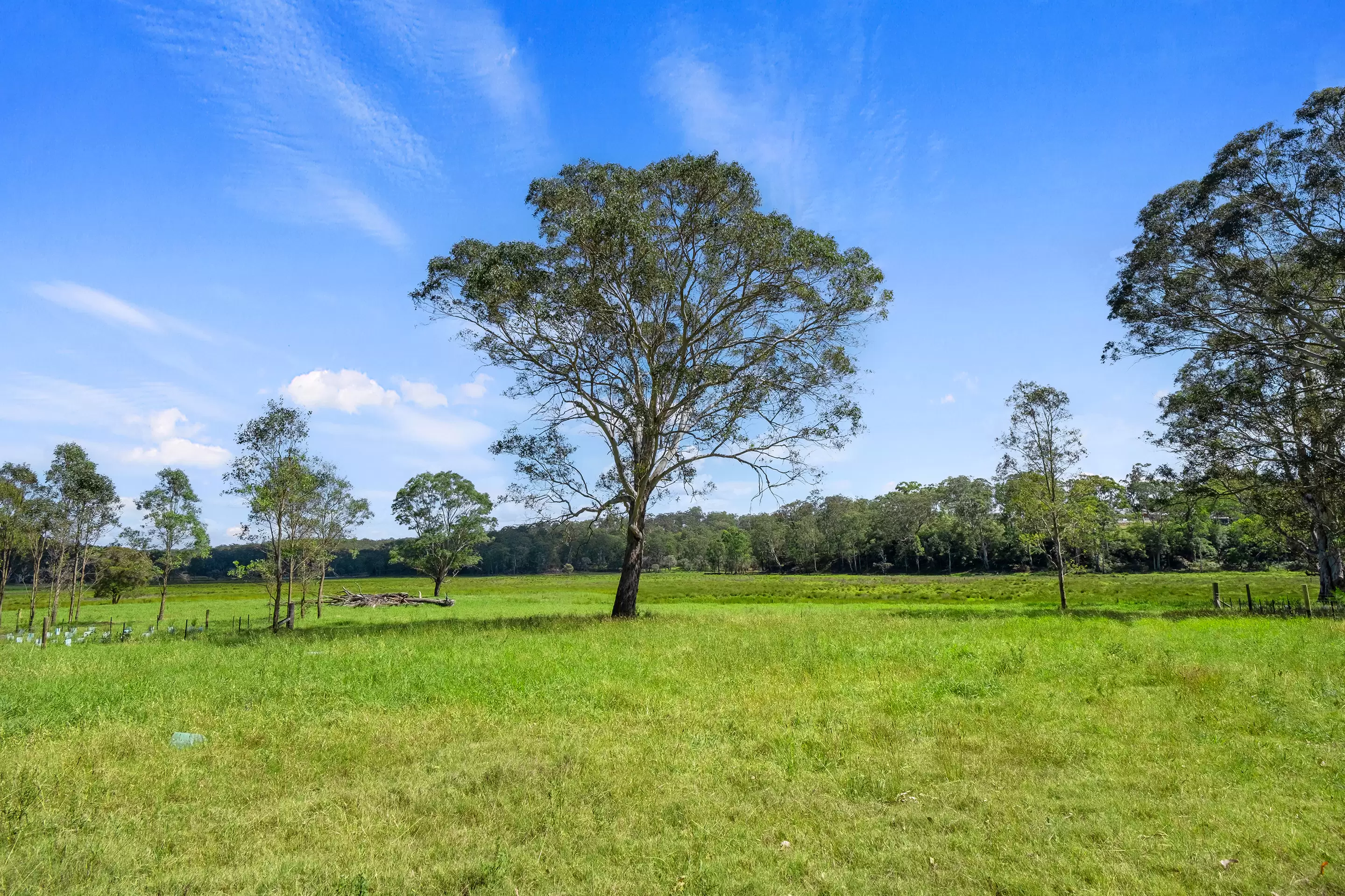 Prop Lots 1-3, 35 Hadden Ridge Road, Wilberforce For Sale by Cutcliffe Properties - image 8