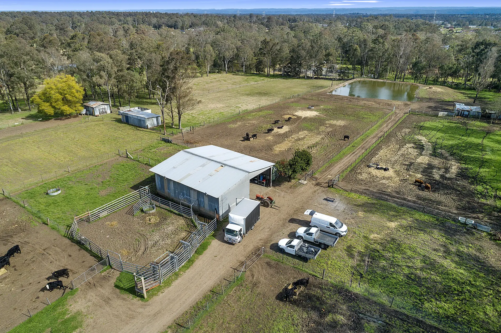 50 Stony Creek Road, Shanes Park Sold by Cutcliffe Properties - image 1