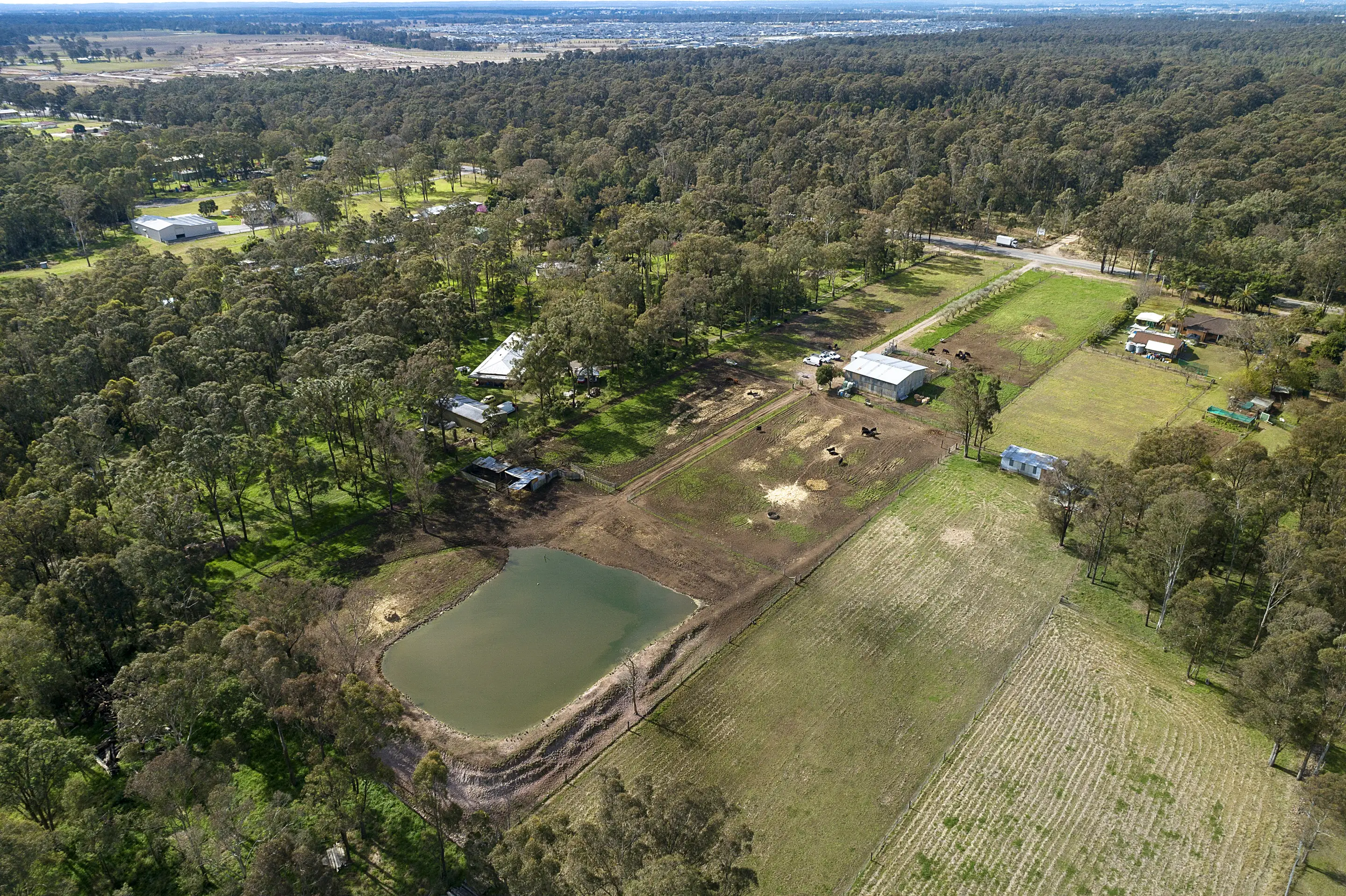 50 Stony Creek Road, Shanes Park Sold by Cutcliffe Properties - image 20