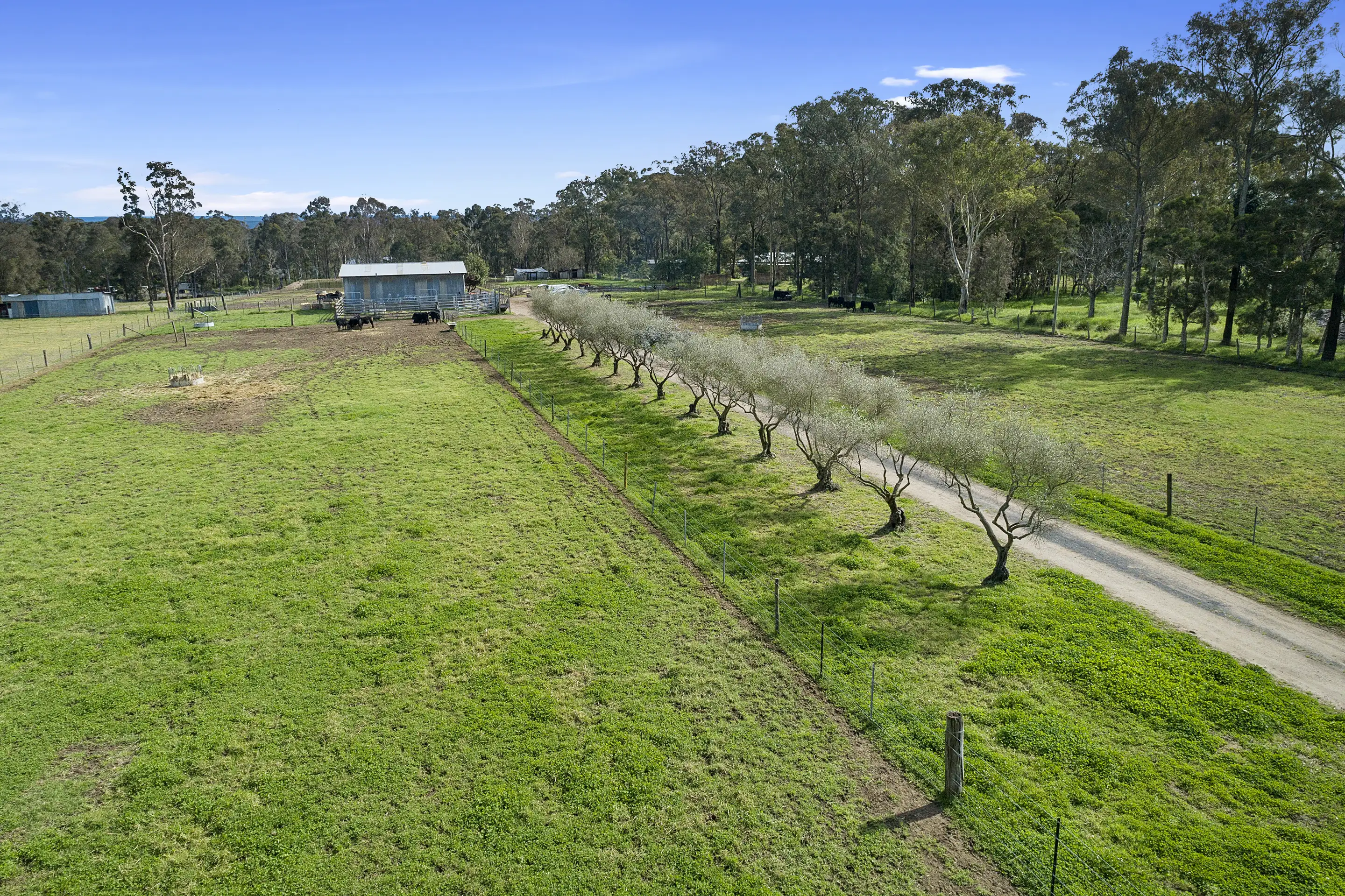 50 Stony Creek Road, Shanes Park Sold by Cutcliffe Properties - image 5