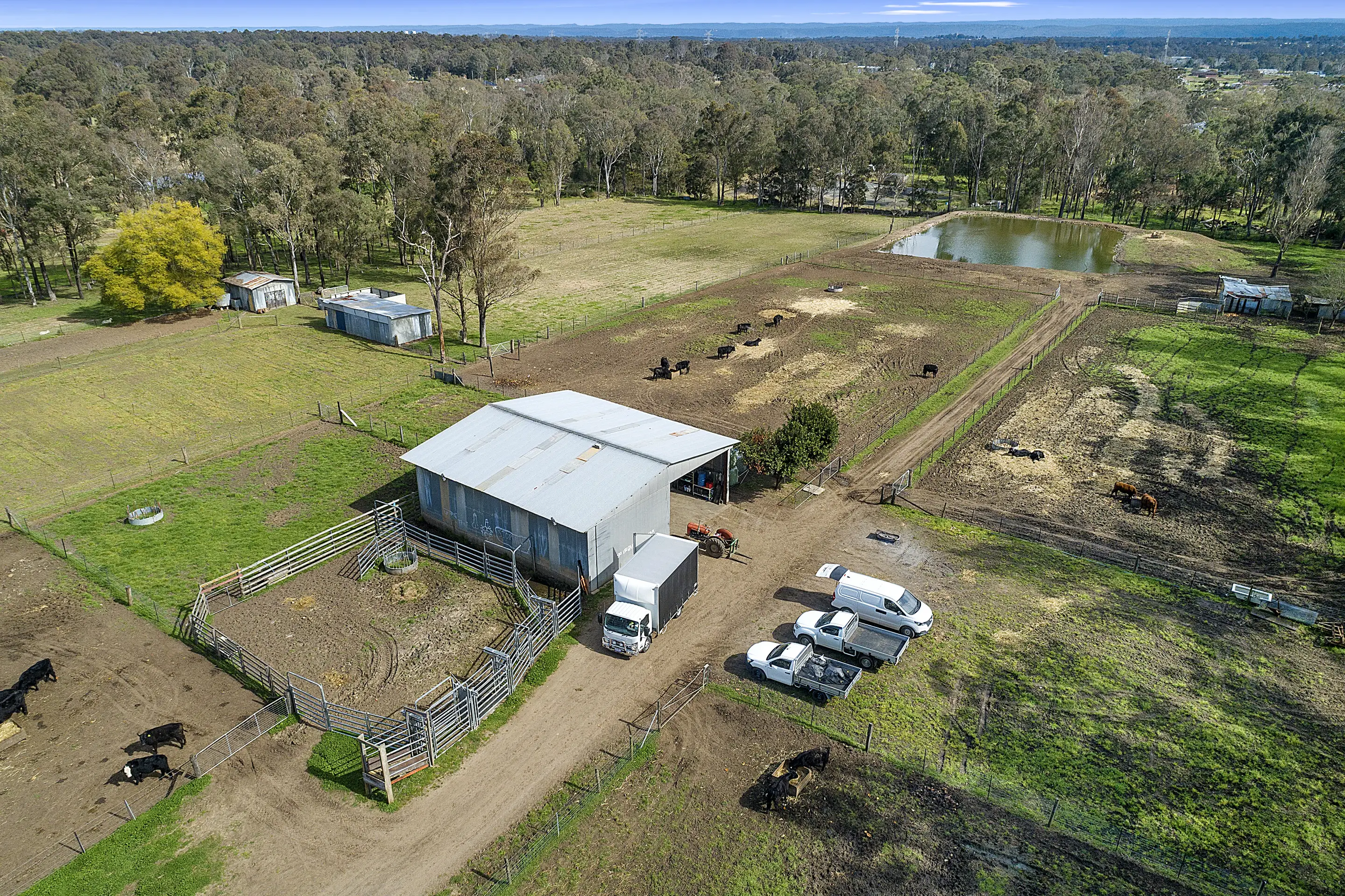 50 Stony Creek Road, Shanes Park Sold by Cutcliffe Properties - image 18