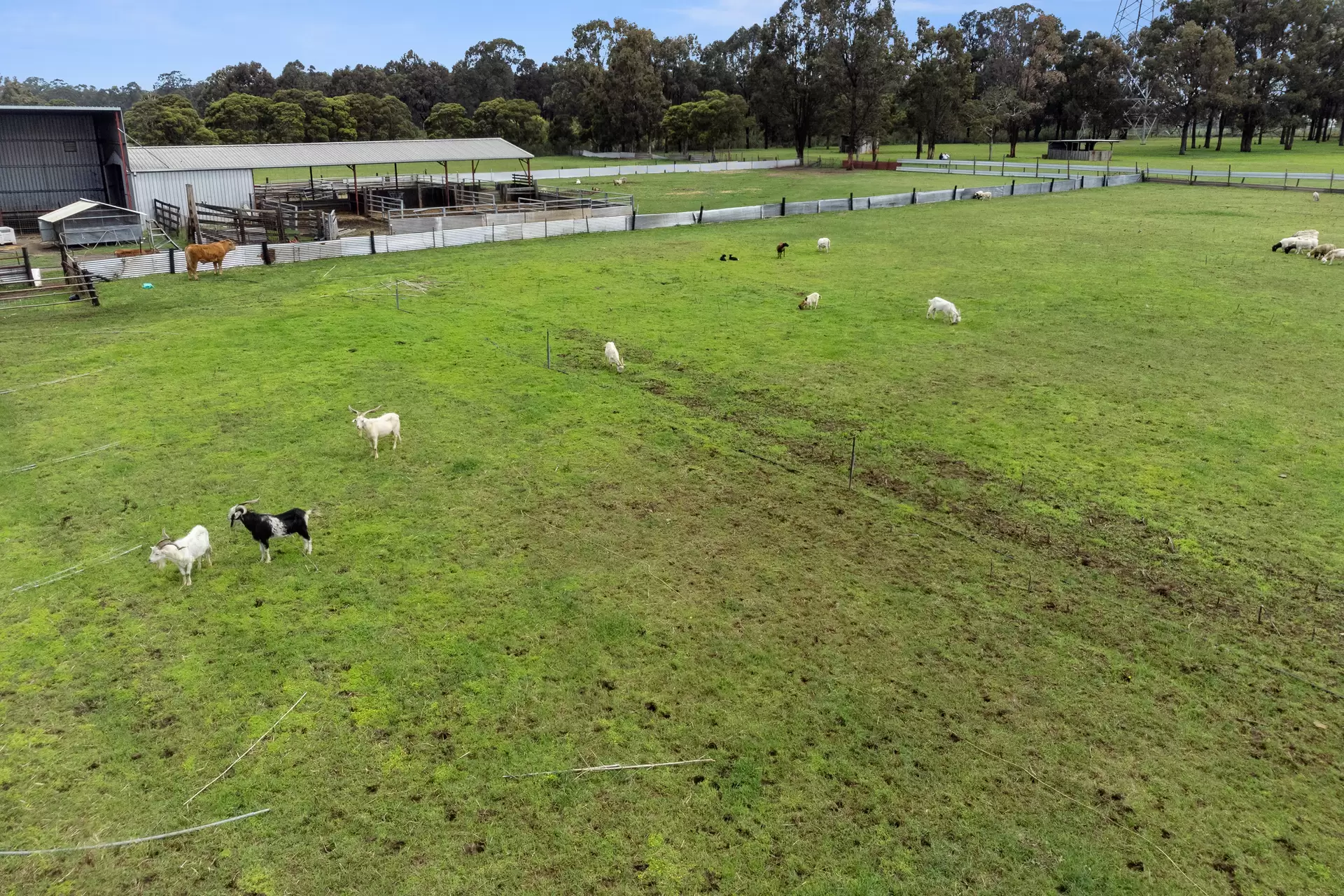 Mulgrave For Sale by Cutcliffe Properties - image 1