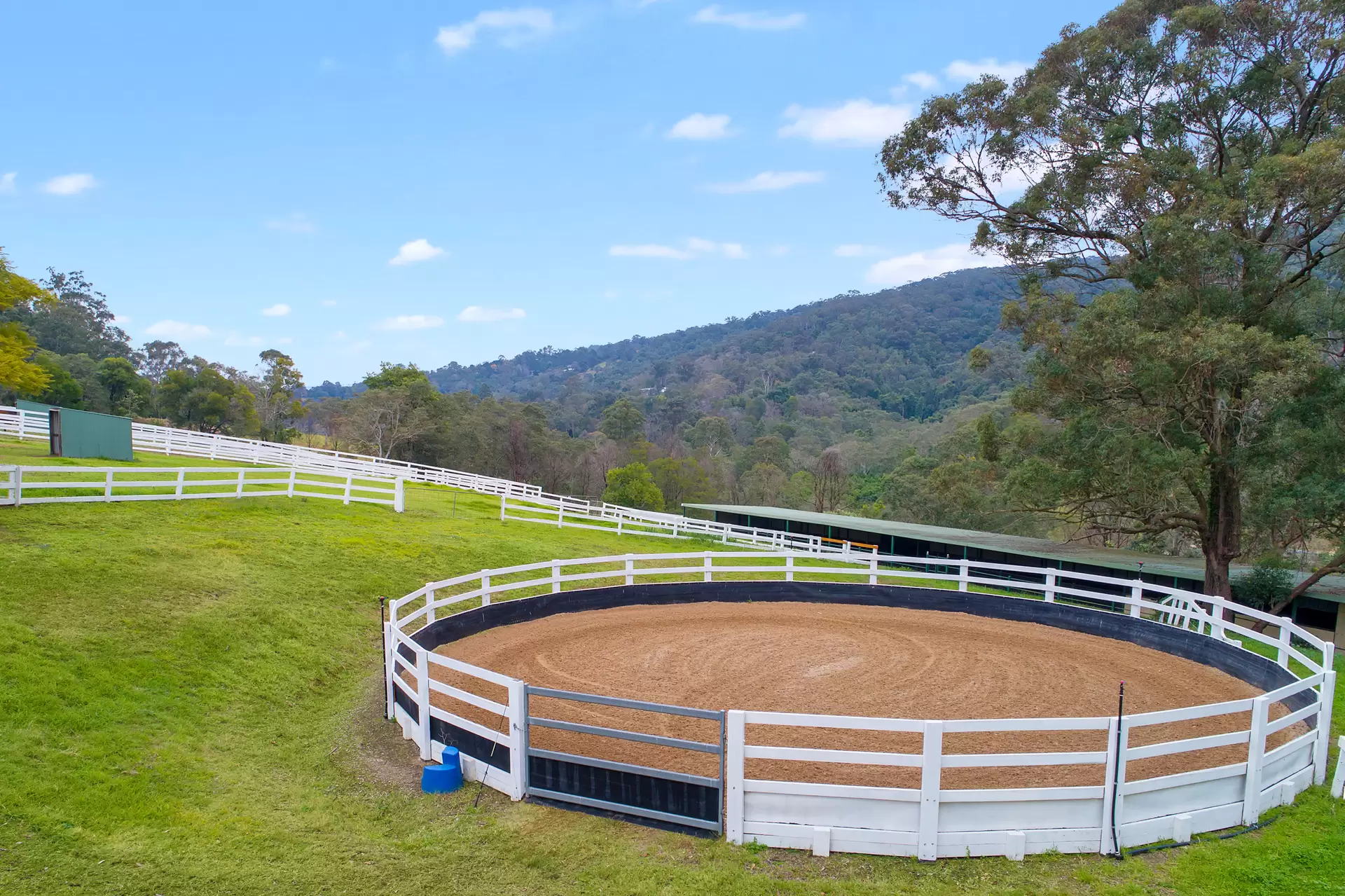 120 Hermitage Road, Kurrajong Hills Auction by Cutcliffe Properties - image 1