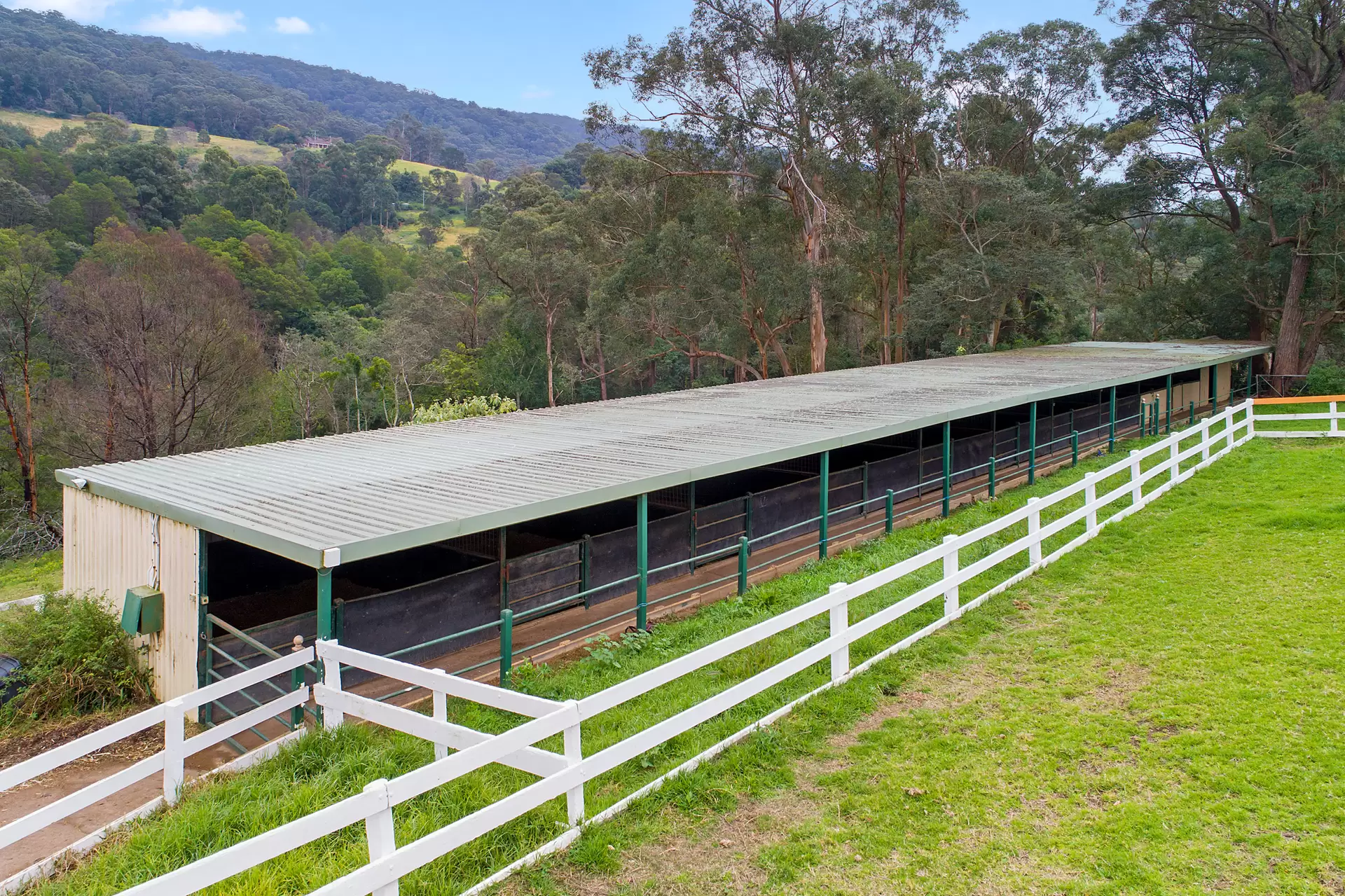 120 Hermitage Road, Kurrajong Hills Auction by Cutcliffe Properties - image 1