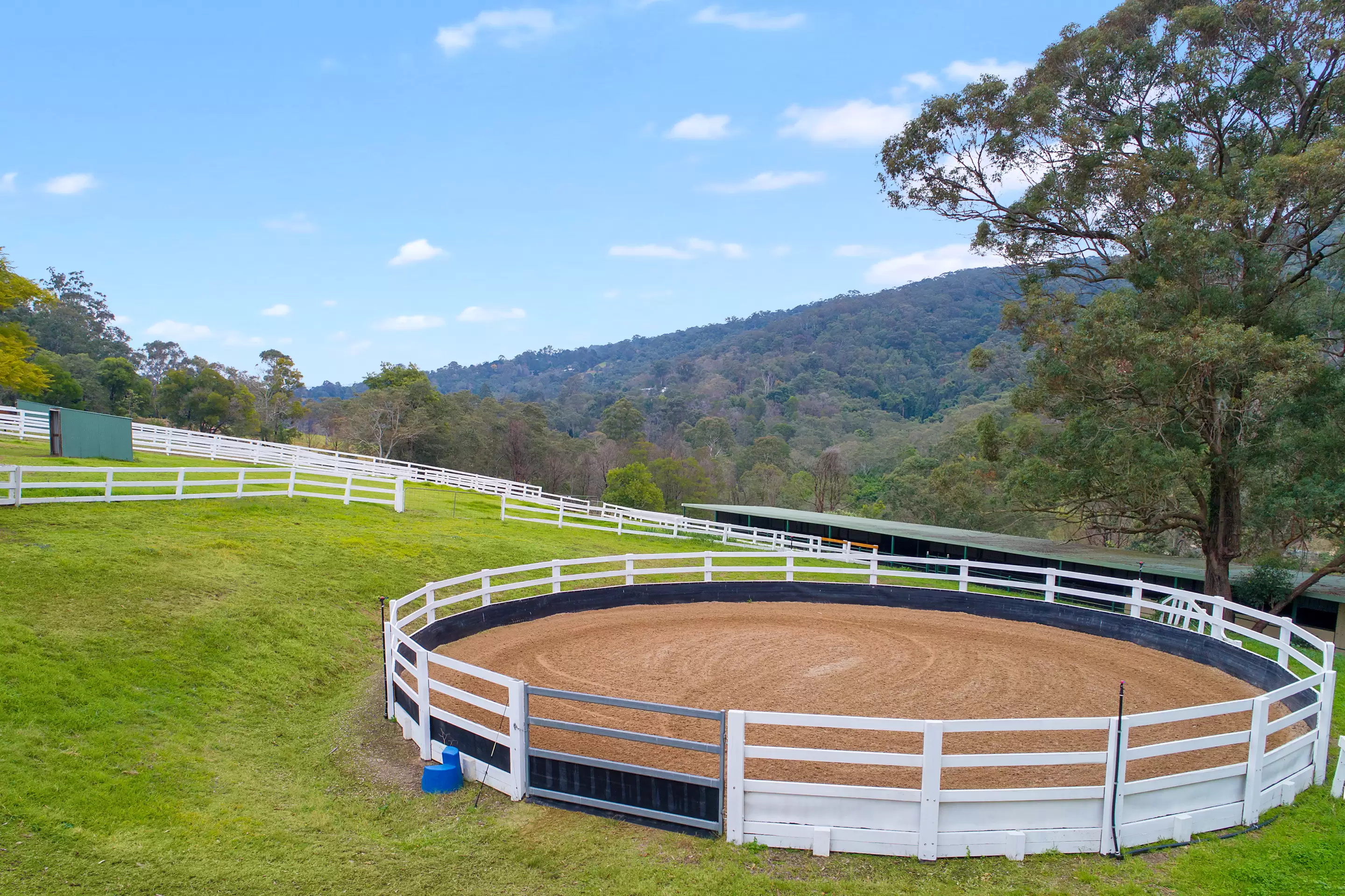 120 Hermitage Road, Kurrajong Hills Auction by Cutcliffe Properties - image 19