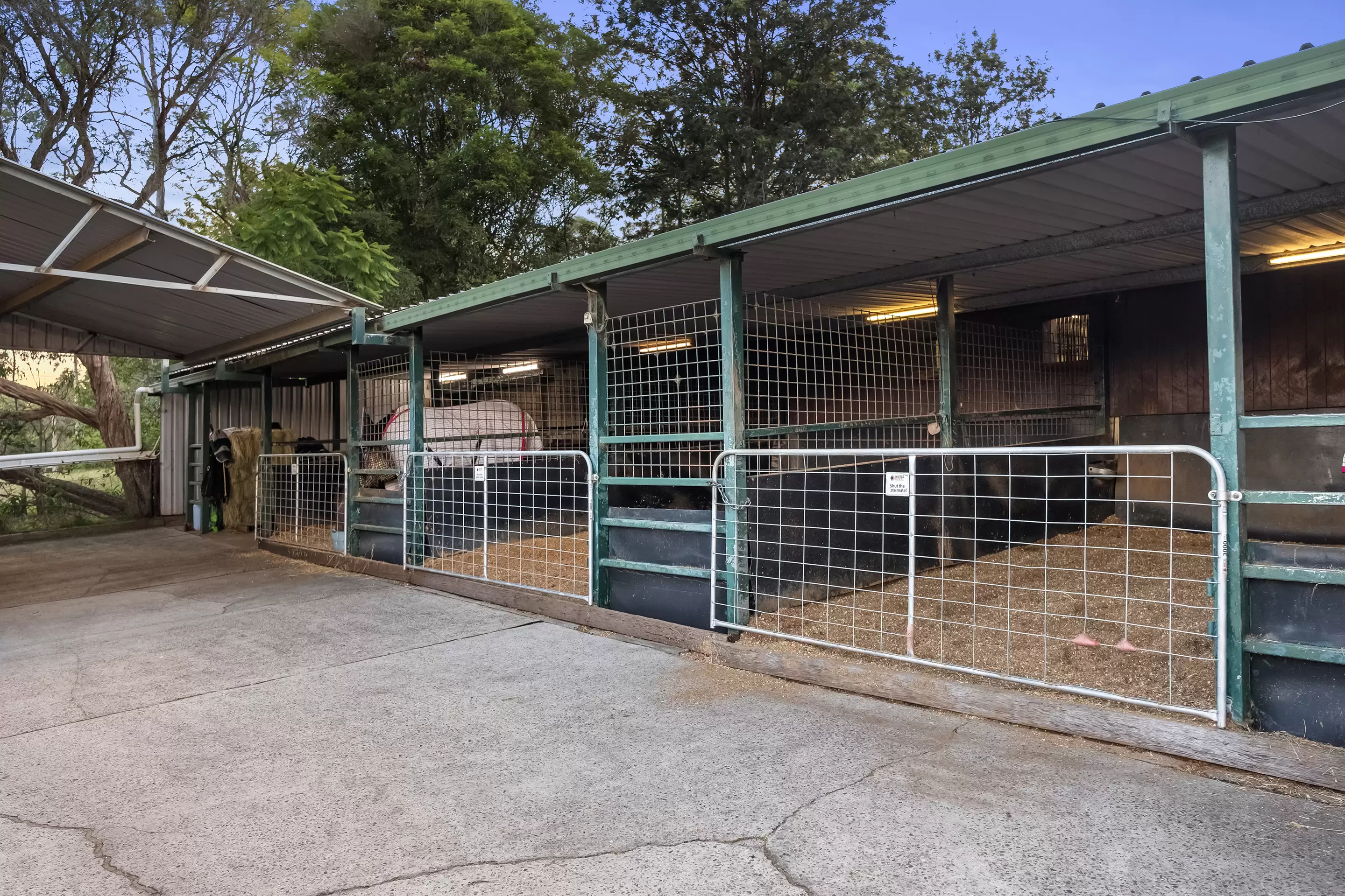 120 Hermitage Road, Kurrajong Hills Auction by Cutcliffe Properties - image 25