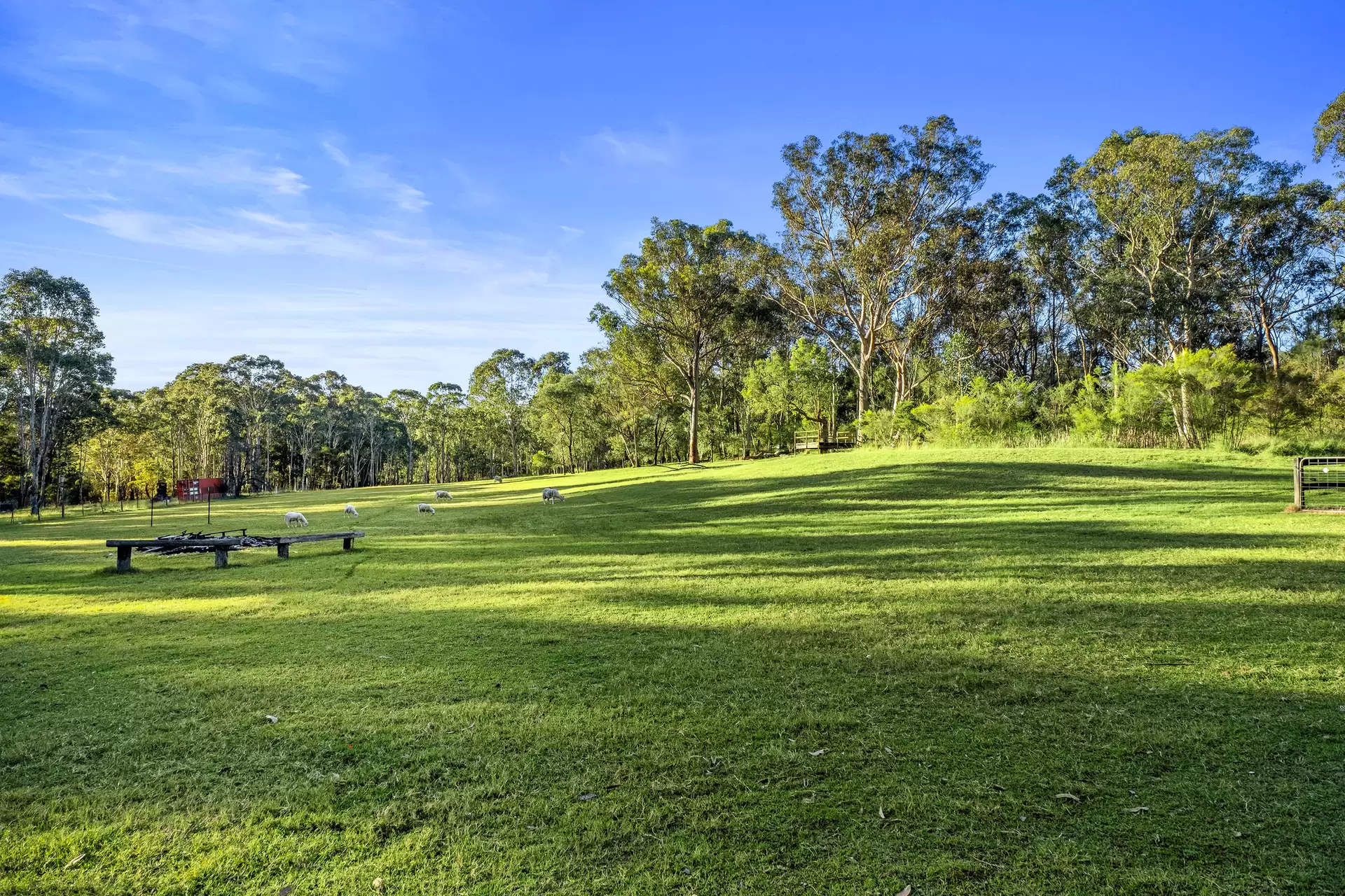 103 Reedy Road, Maraylya For Sale by Cutcliffe Properties - image 1