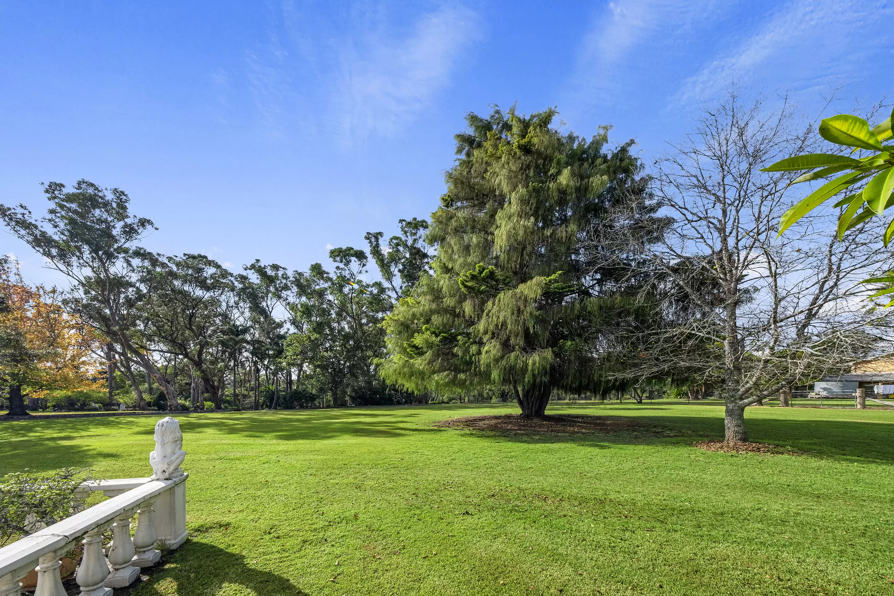 7 Burrawang Drive, Nelson For Sale by Cutcliffe Properties - image 3