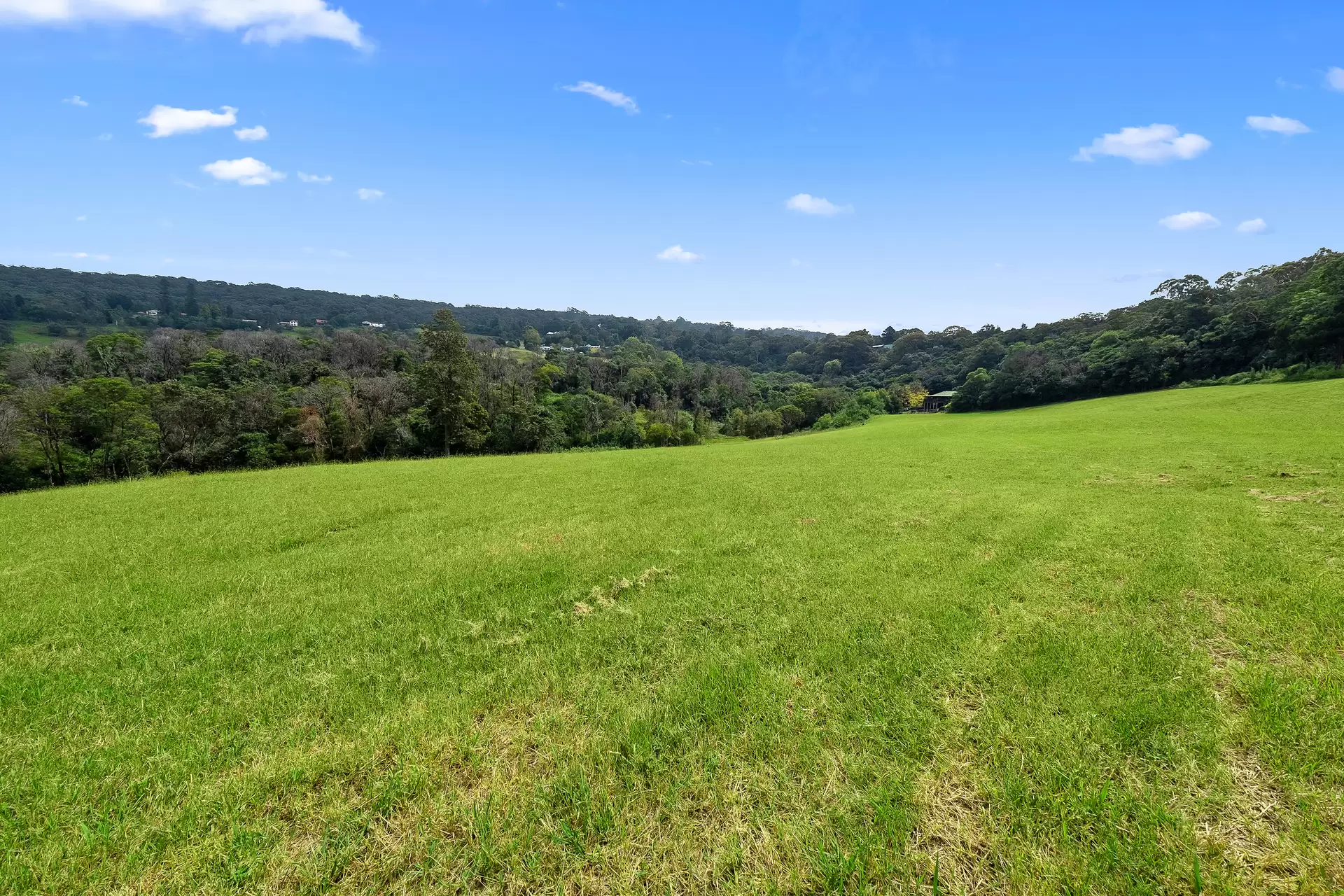 915 Bells Line of Road, Kurrajong Hills For Sale by Cutcliffe Properties - image 1