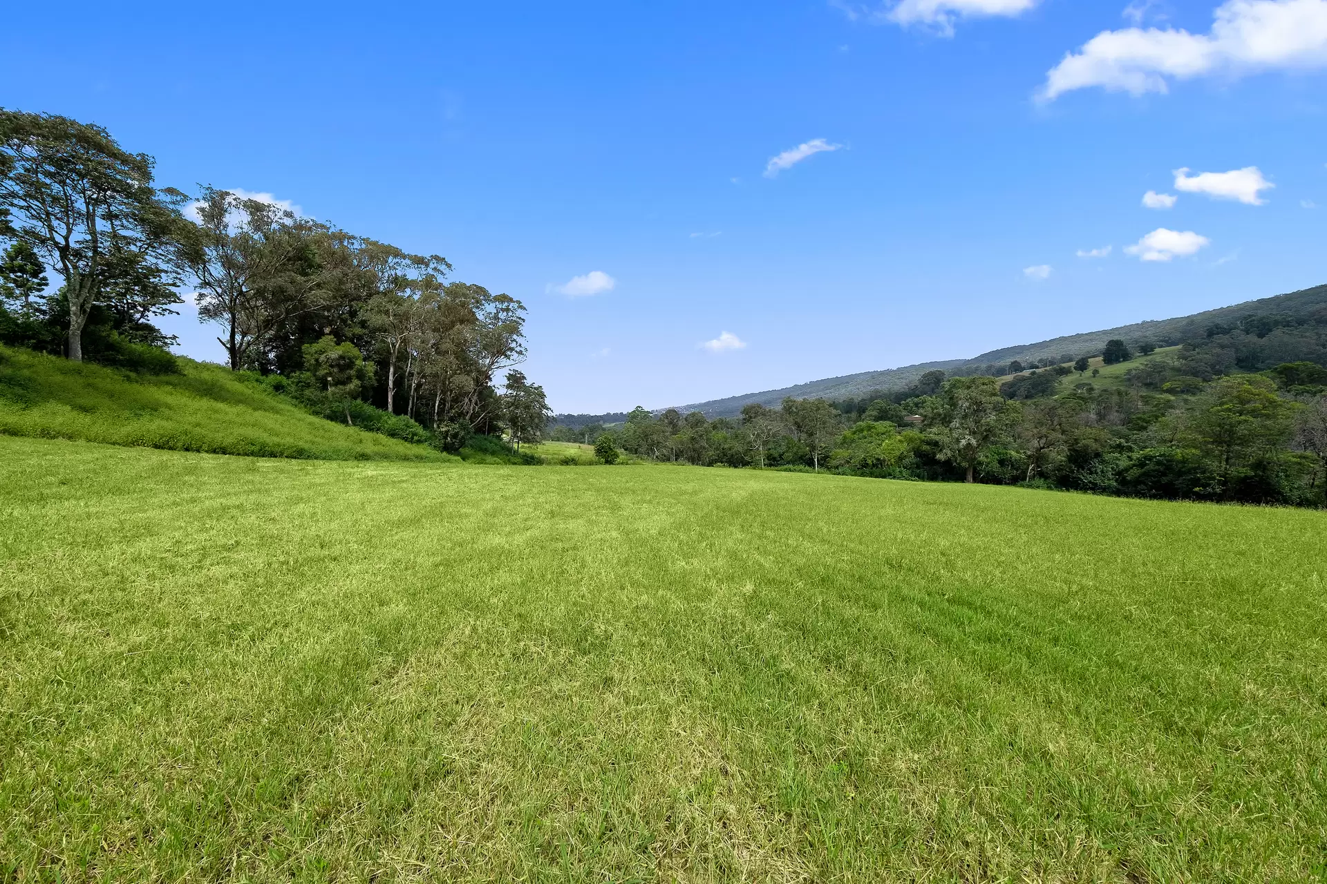 915 Bells Line of Road, Kurrajong Hills For Sale by Cutcliffe Properties - image 1