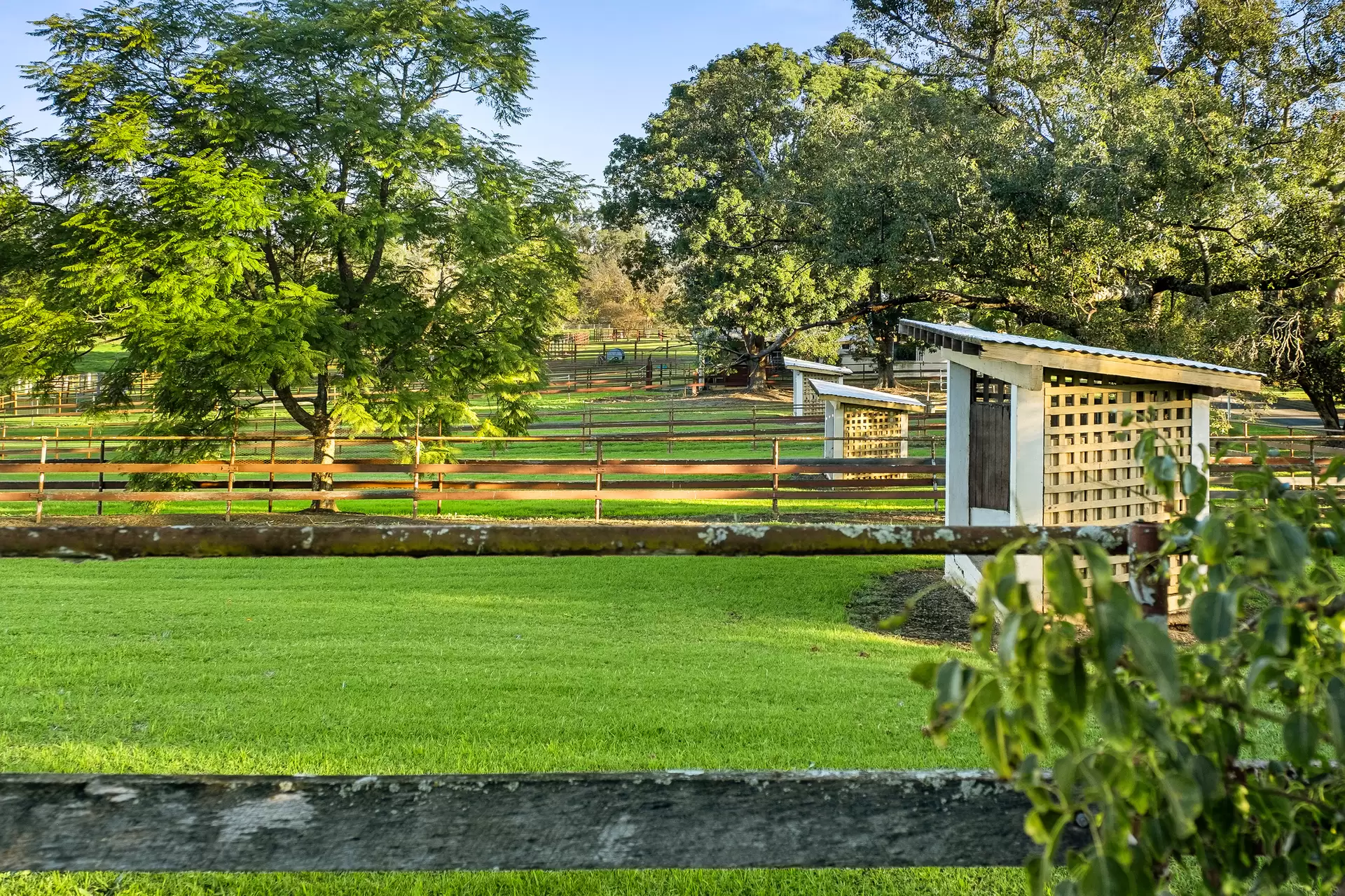 Lot 19/226-228 Grose River Road, Grose Wold Auction by Cutcliffe Properties - image 1