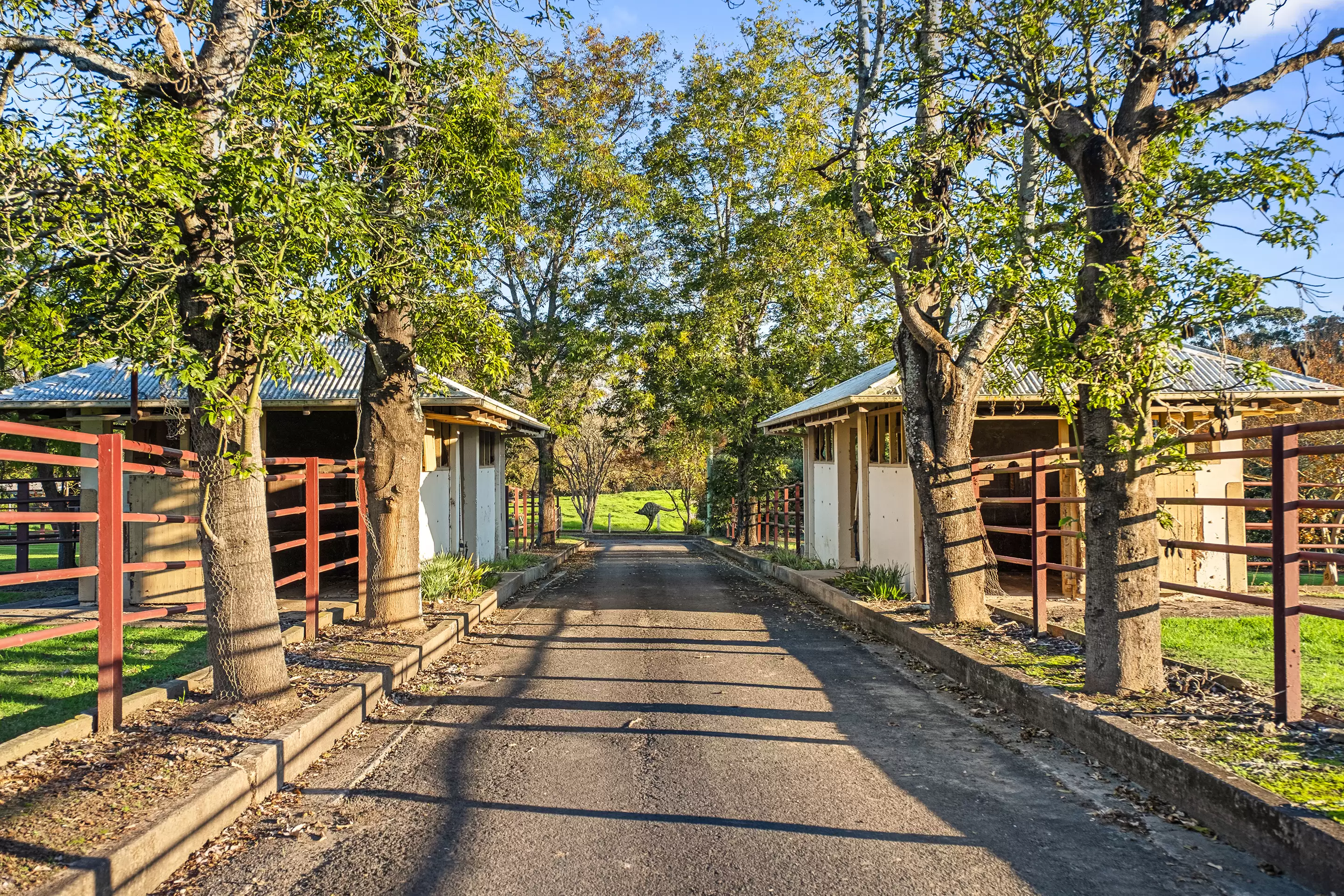 Lot 19/226-228 Grose River Road, Grose Wold Auction by Cutcliffe Properties - image 13