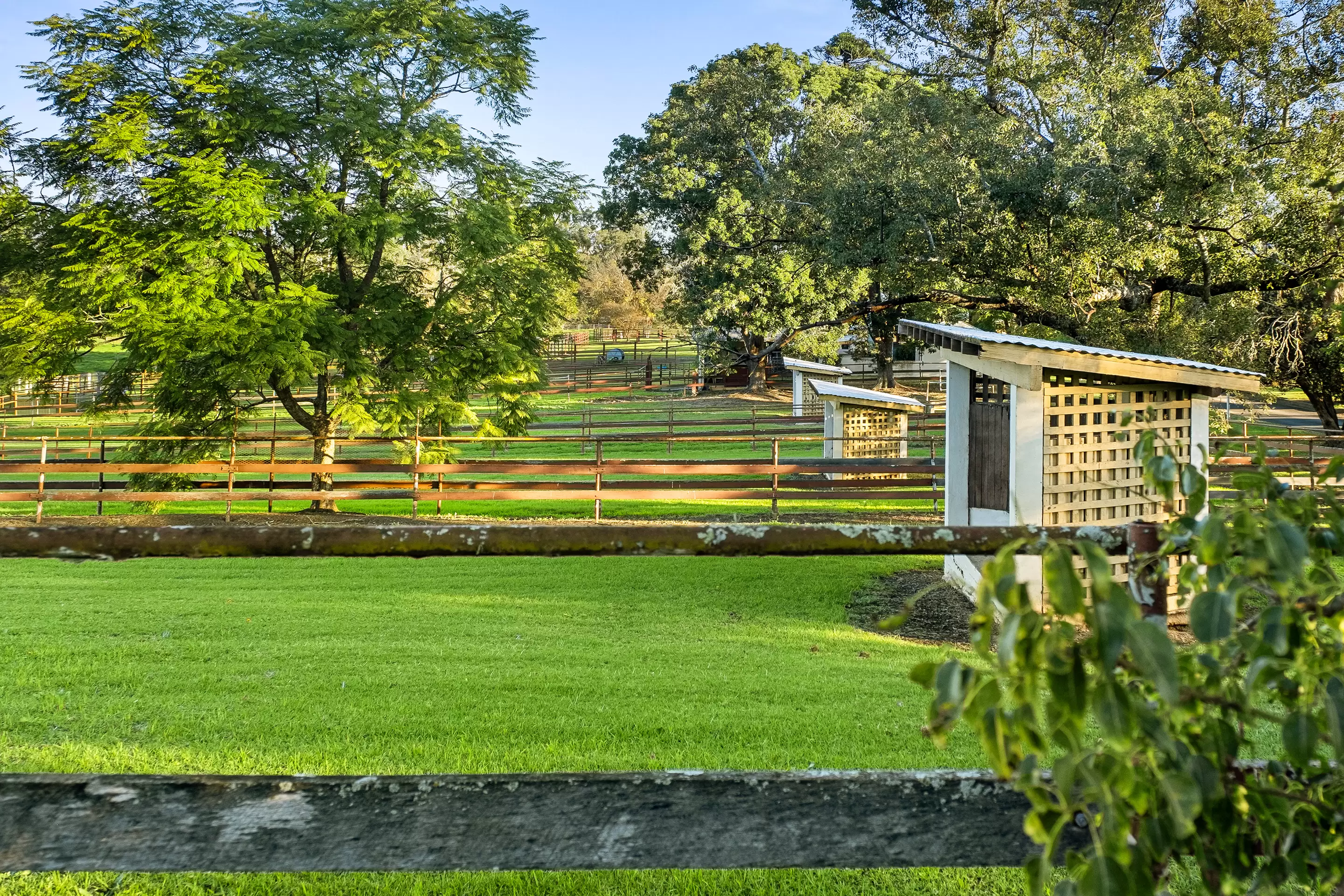 226-228 Grose River Road, Grose Wold Auction by Cutcliffe Properties - image 11