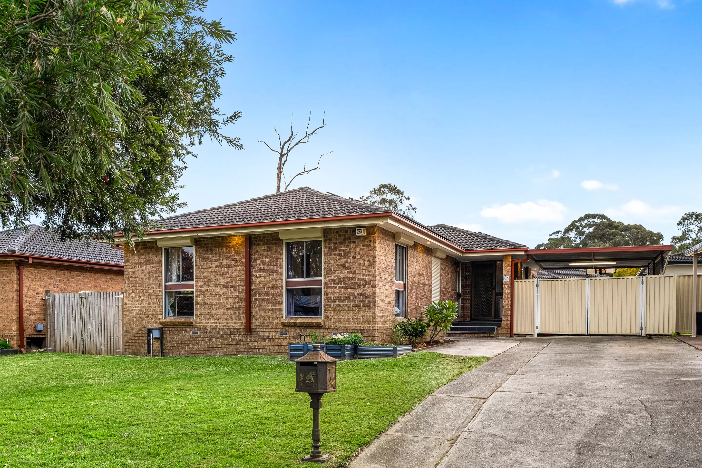 17 Berger Road, South Windsor Sold by Cutcliffe Properties - image 1