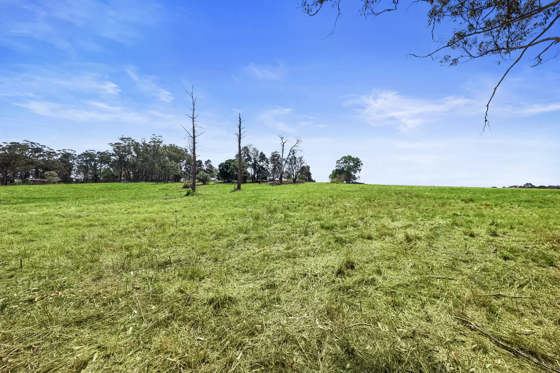 161 Vincents Road, Kurrajong For Sale by Cutcliffe Properties - image 1