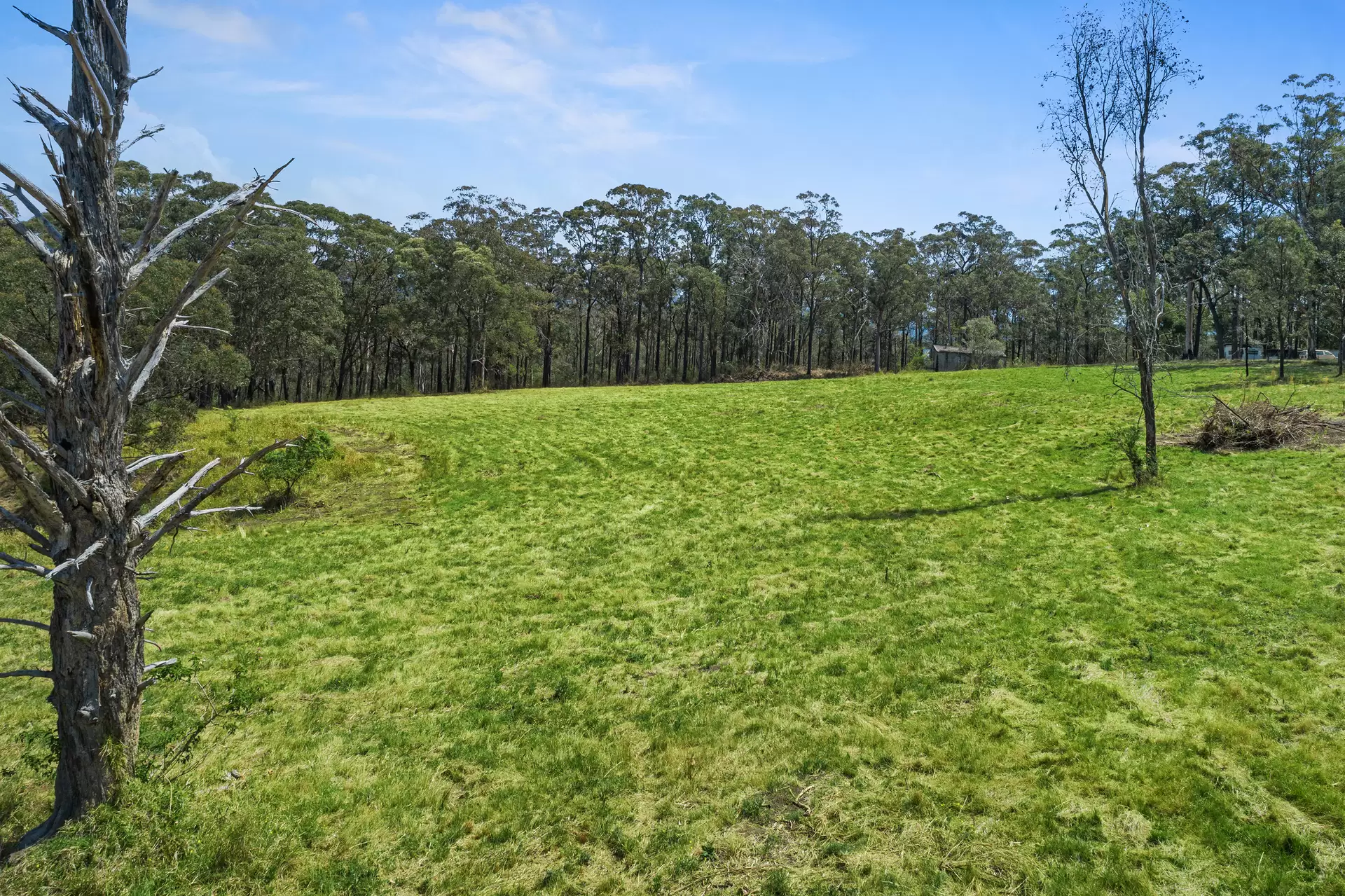 161 Vincents Road, Kurrajong For Sale by Cutcliffe Properties - image 1