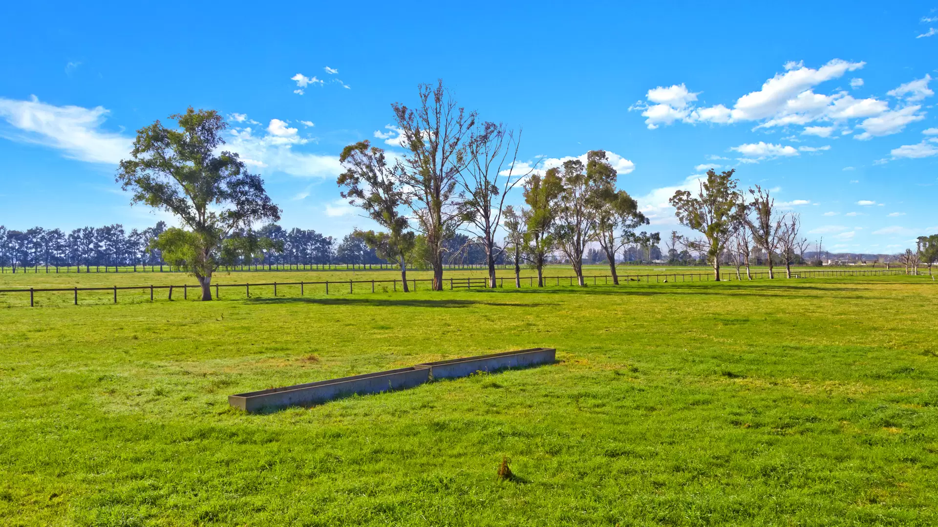 1 & 31 Cornwells Lane, Richmond Lowlands For Sale by Cutcliffe Properties - image 1