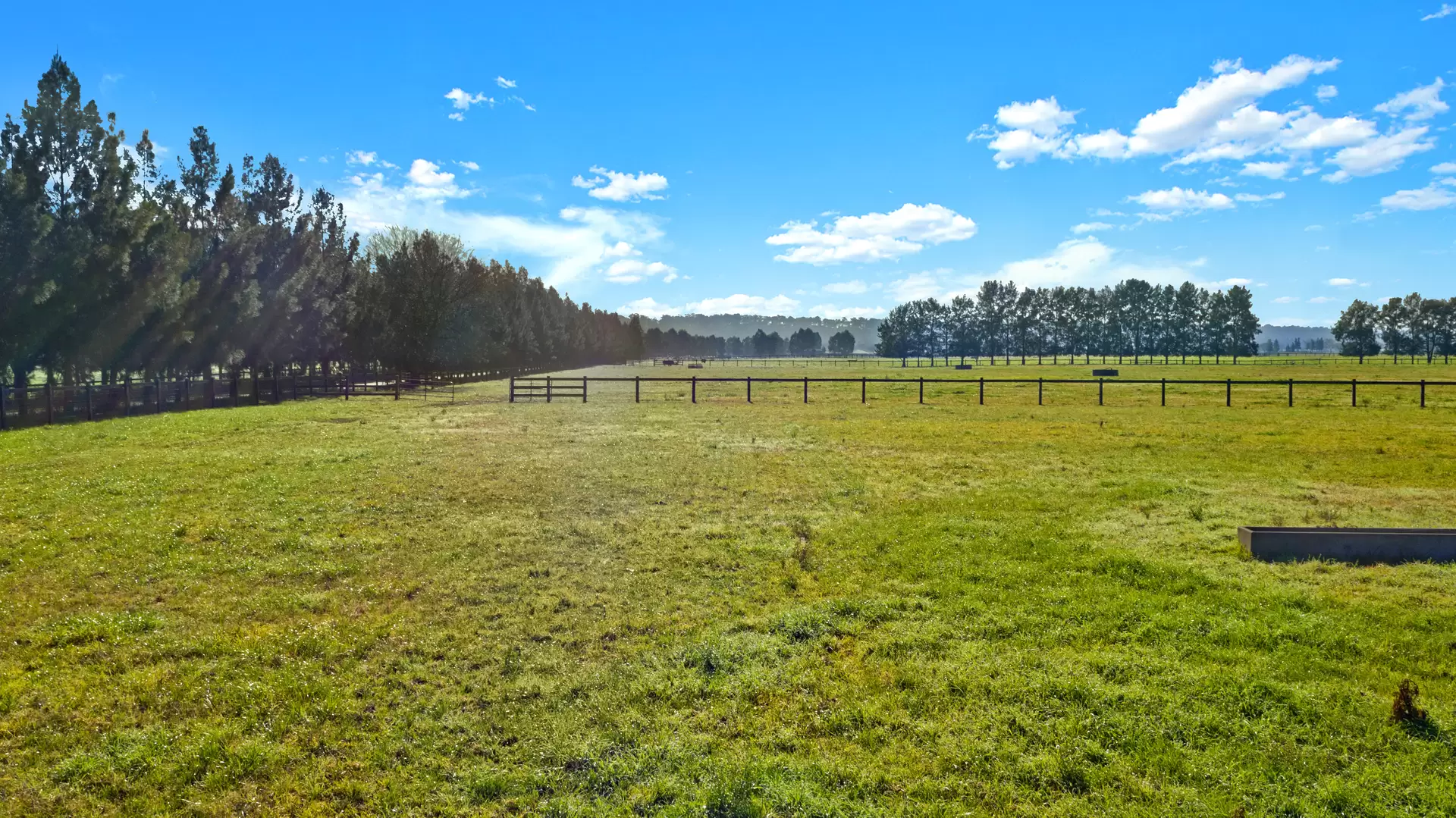 1 & 31 Cornwells Lane, Richmond Lowlands For Sale by Cutcliffe Properties - image 1