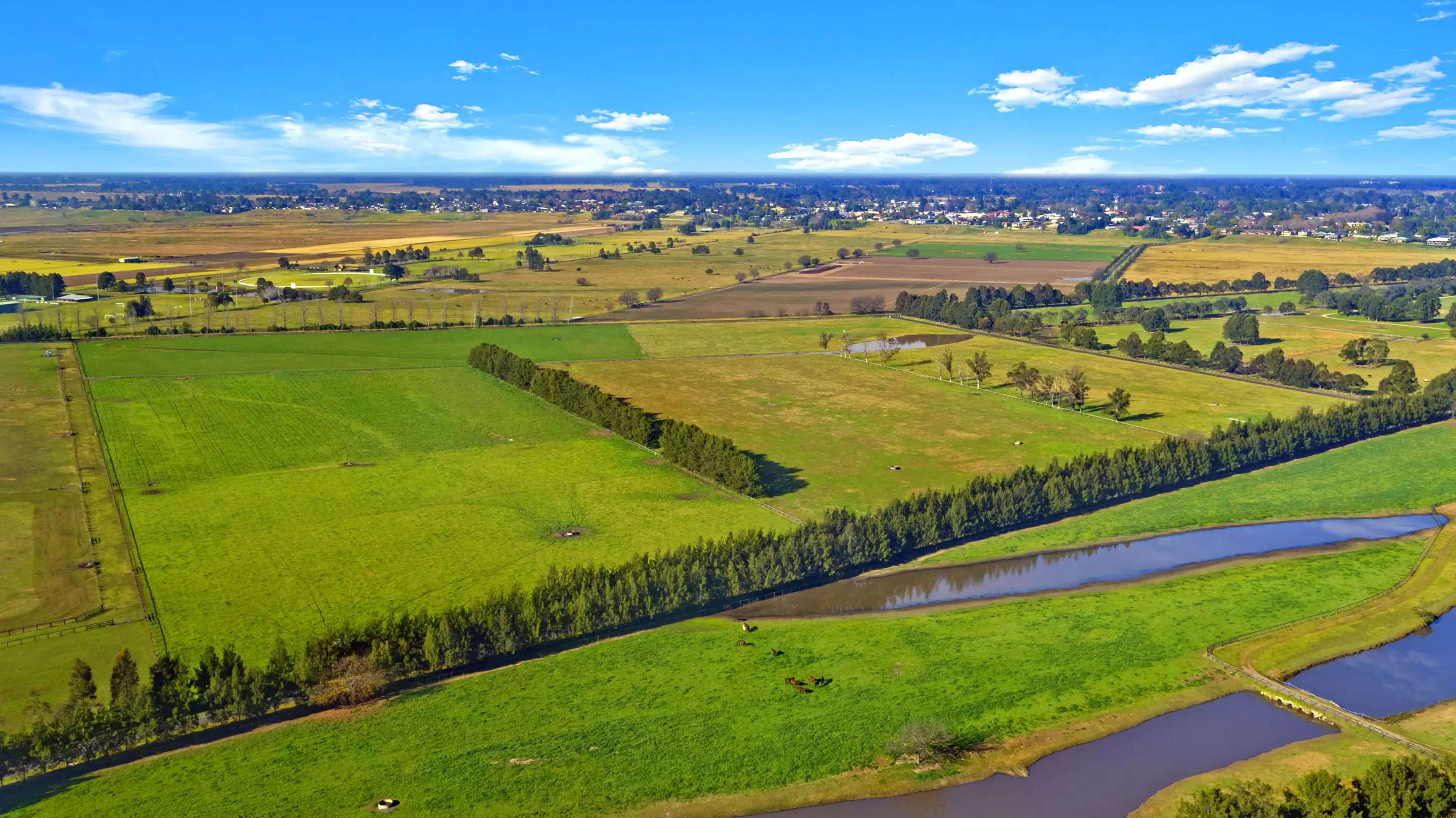 1 & 31 Cornwells Lane, Richmond Lowlands For Sale by Cutcliffe Properties - image 1