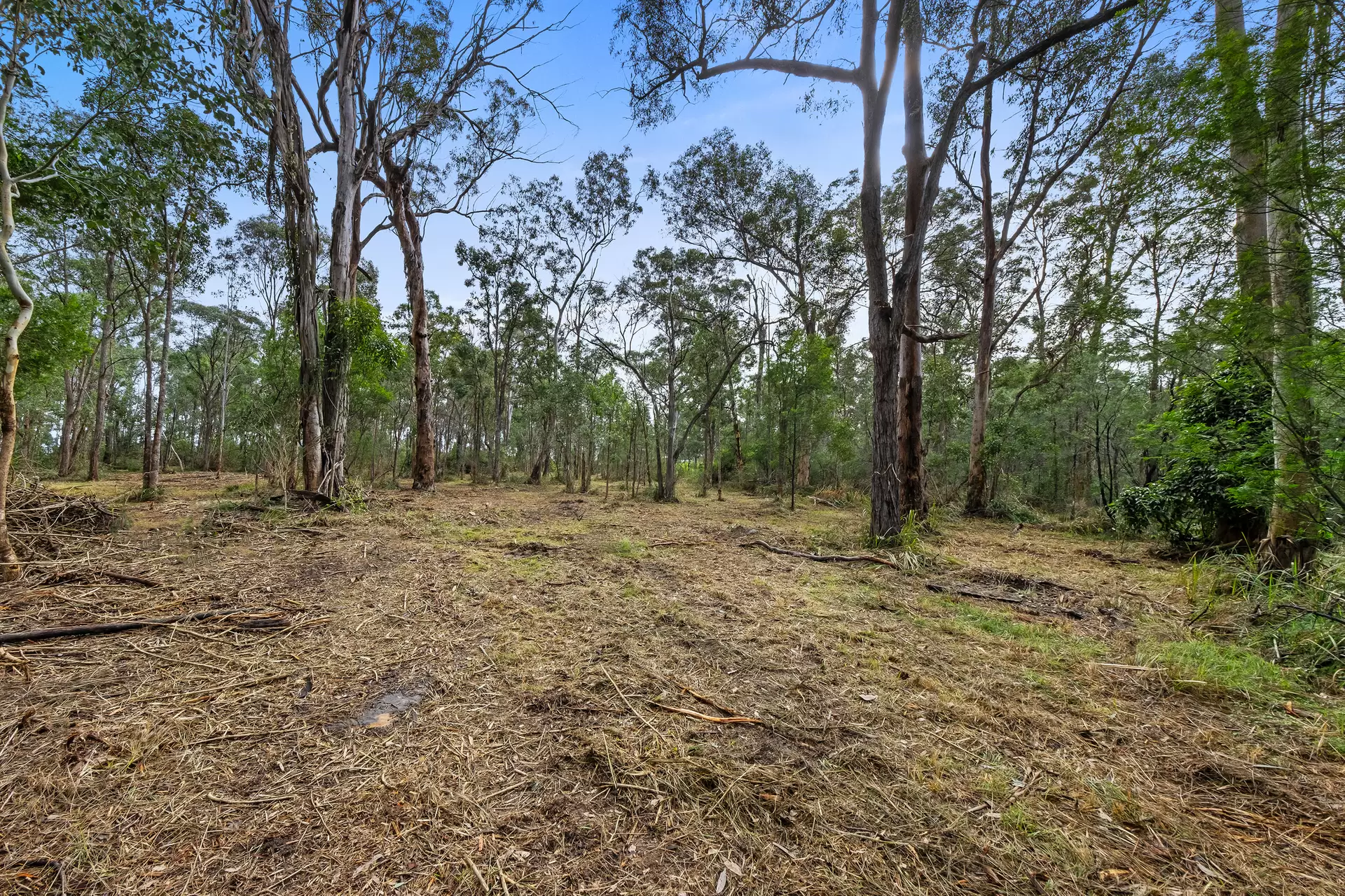 13 Kentucky Drive, Glossodia Auction by Cutcliffe Properties - image 1