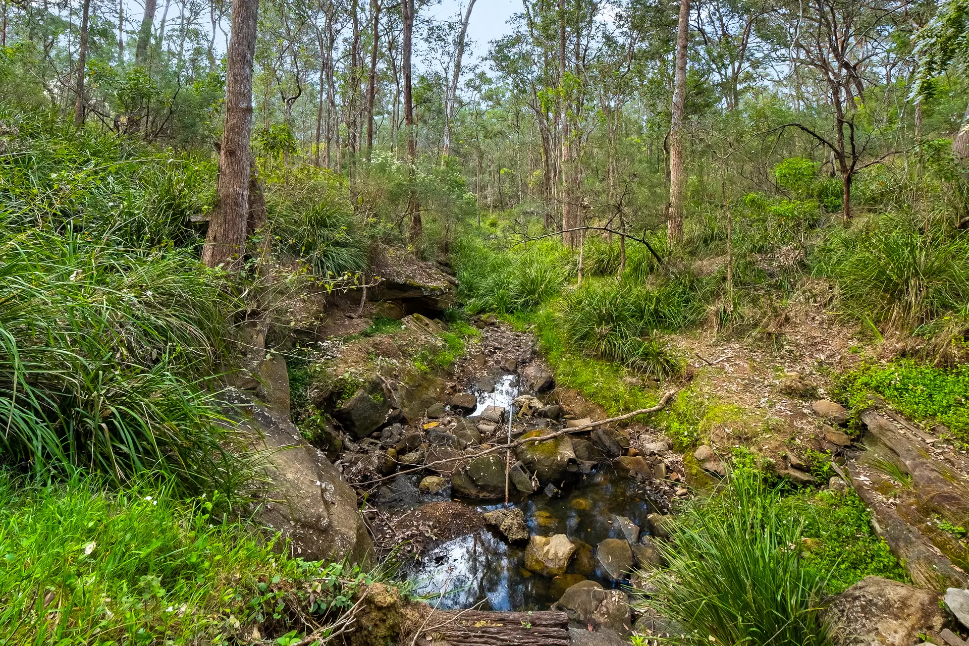 13 Kentucky Drive, Glossodia Auction by Cutcliffe Properties - image 1