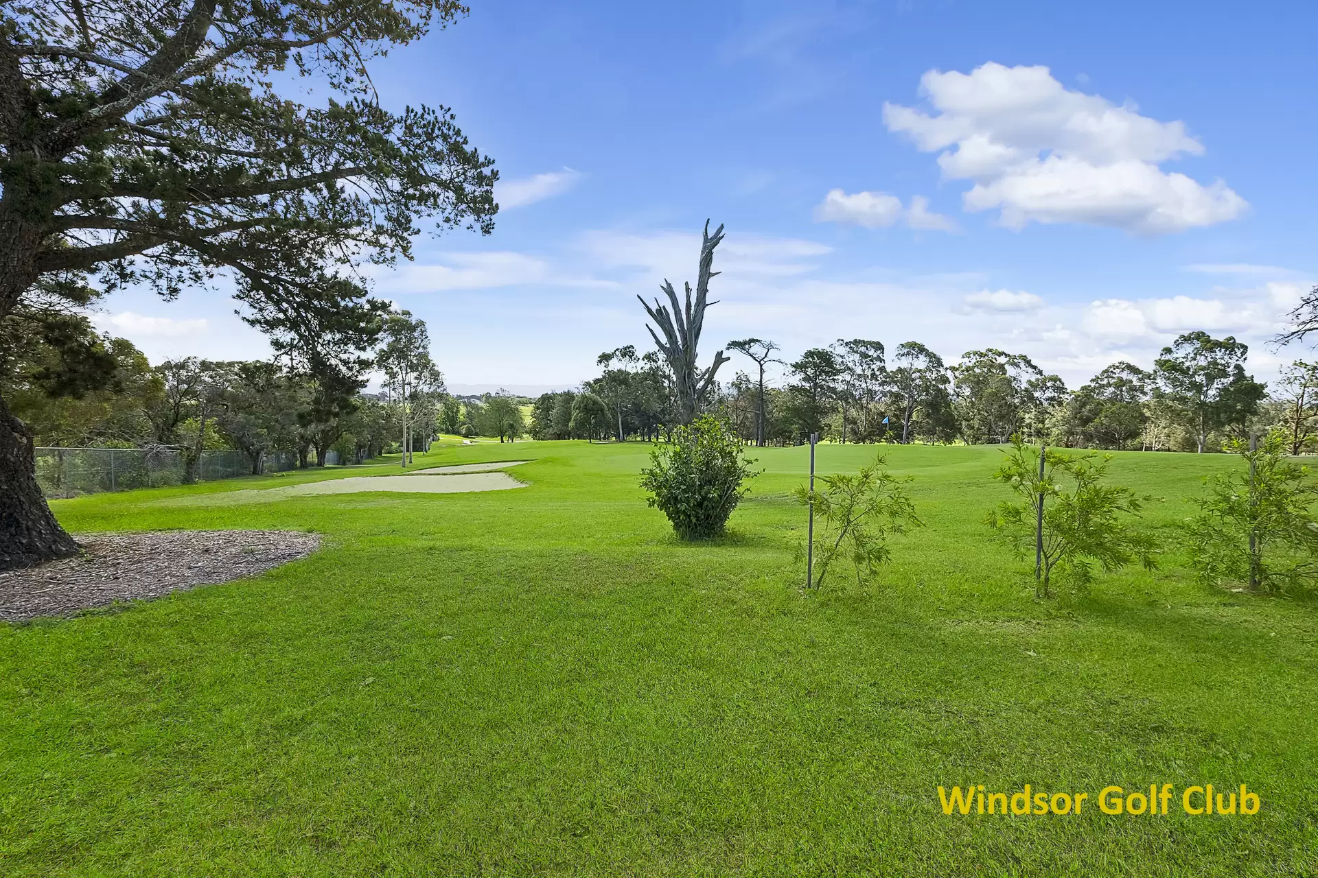 31 Cambridge Avenue, Windsor Auction by Cutcliffe Properties - image 1