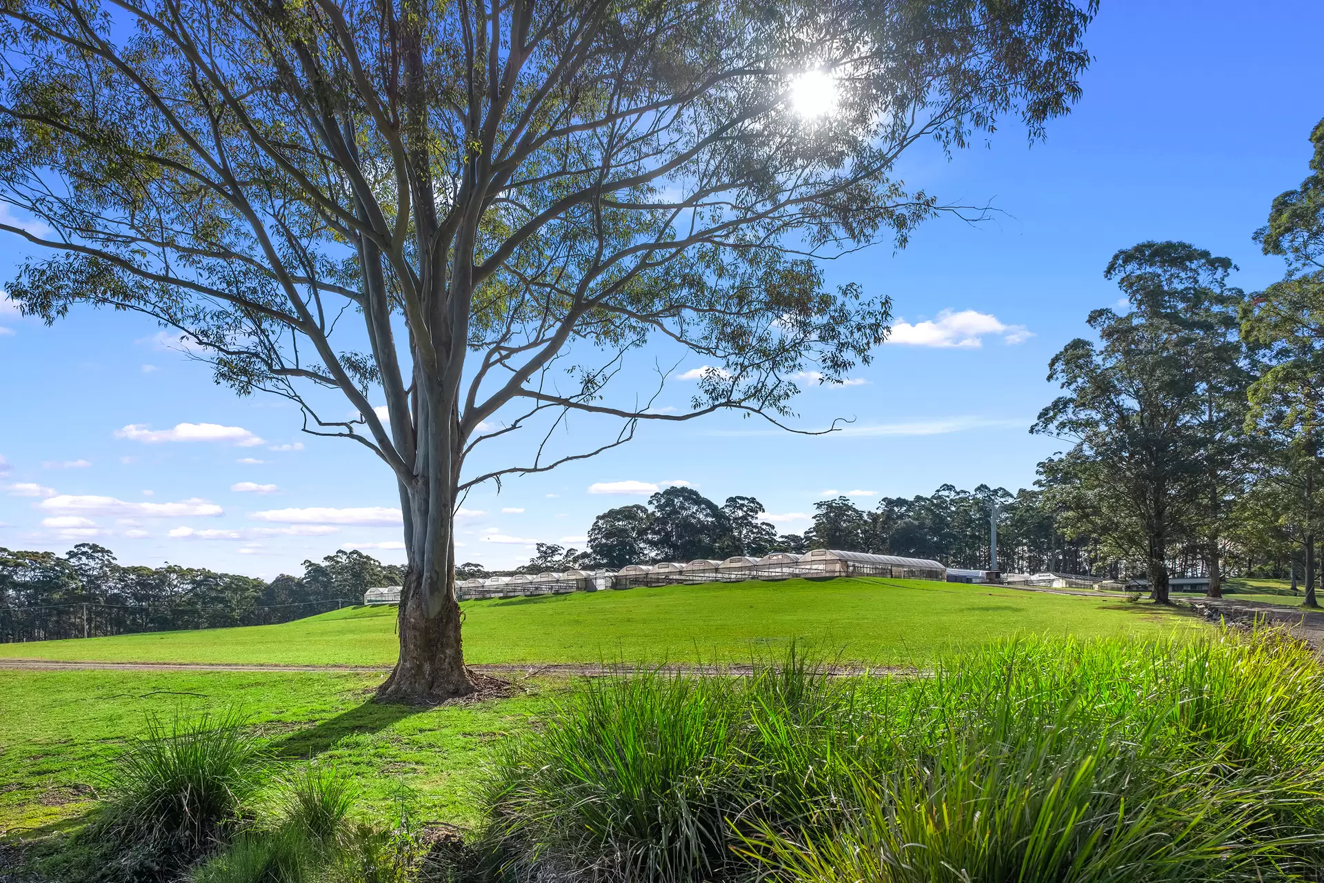 1218-1228 Mountain Lagoon Road, Mountain Lagoon For Sale by Cutcliffe Properties - image 1