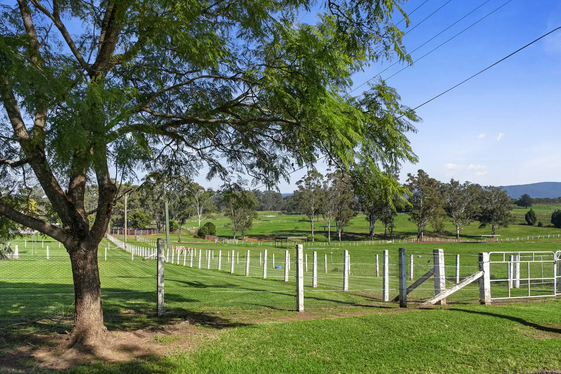 Lot 18, 226-228 Grose River Road, Grose Wold Auction by Cutcliffe Properties - image 1