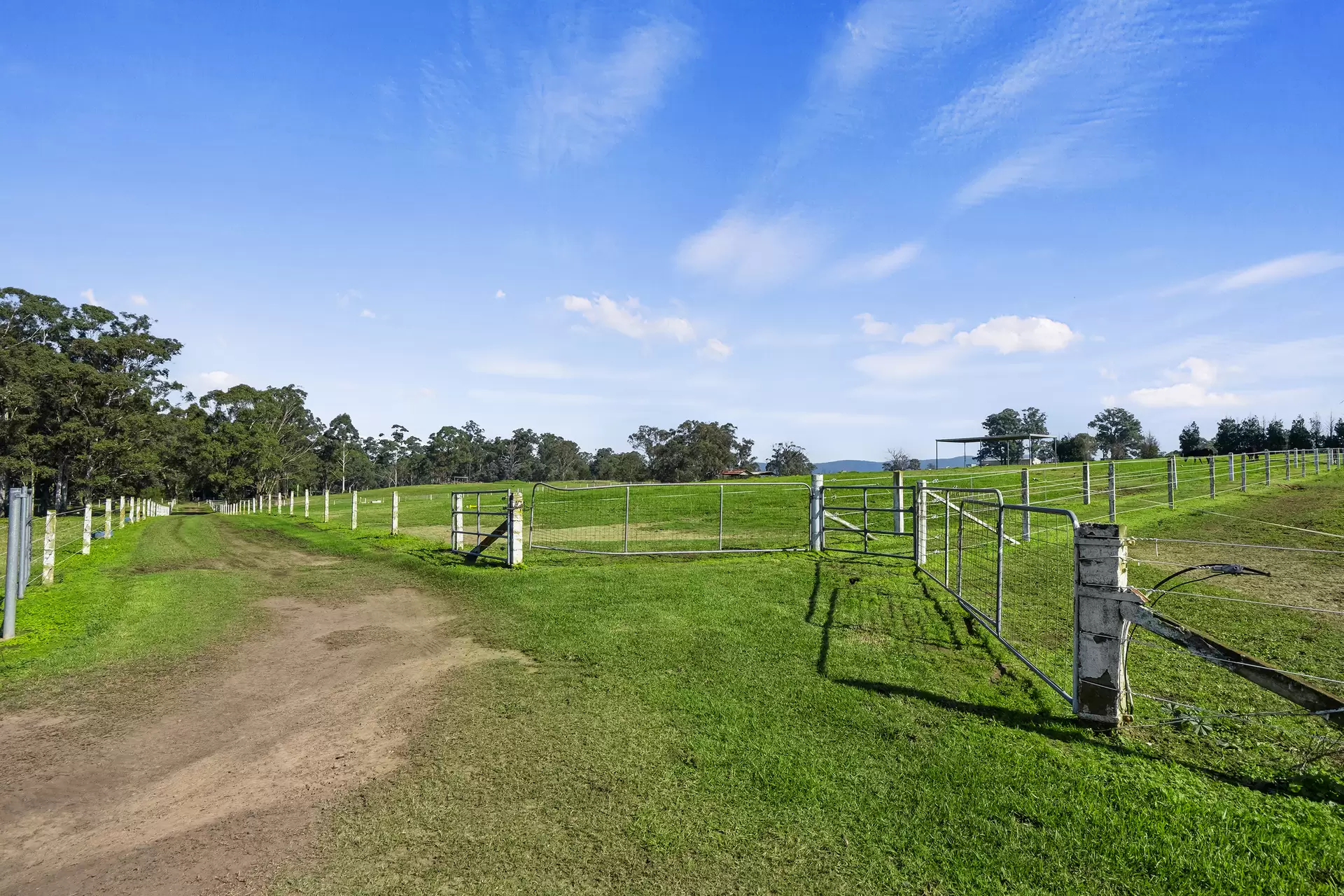 Lot 18, 226-228 Grose River Road, Grose Wold Auction by Cutcliffe Properties - image 1