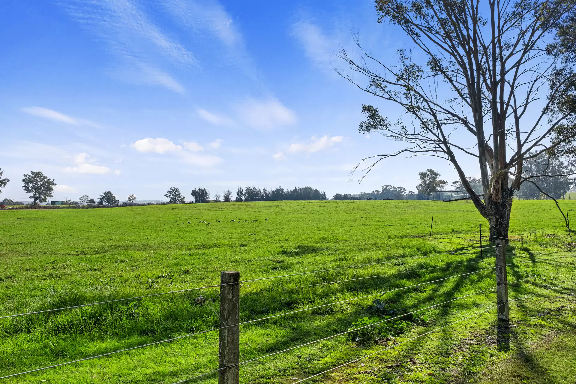 Lot 18, 226-228 Grose River Road, Grose Wold Auction by Cutcliffe Properties - image 1