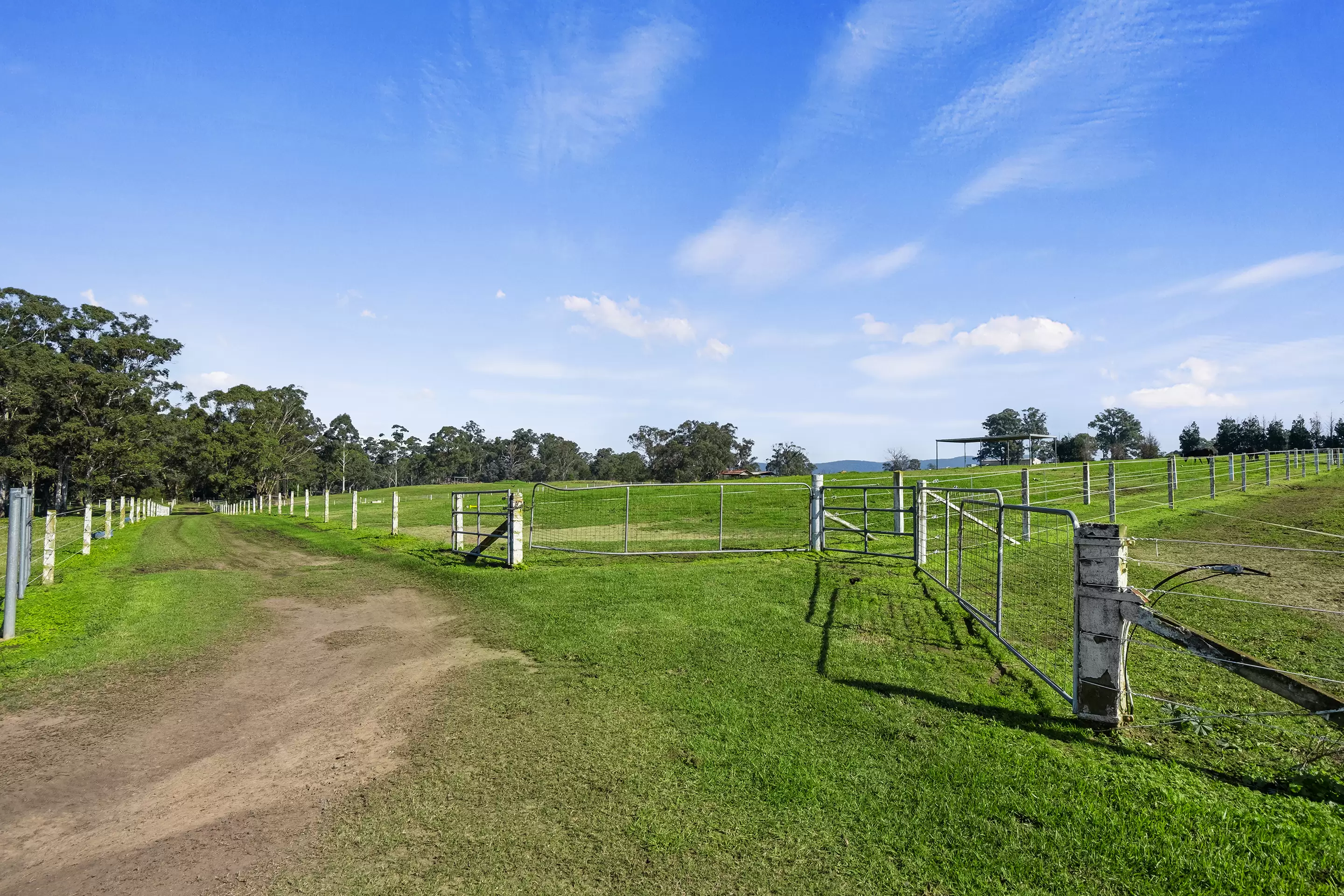 Lot 18, 226-228 Grose River Road, Grose Wold Auction by Cutcliffe Properties - image 8