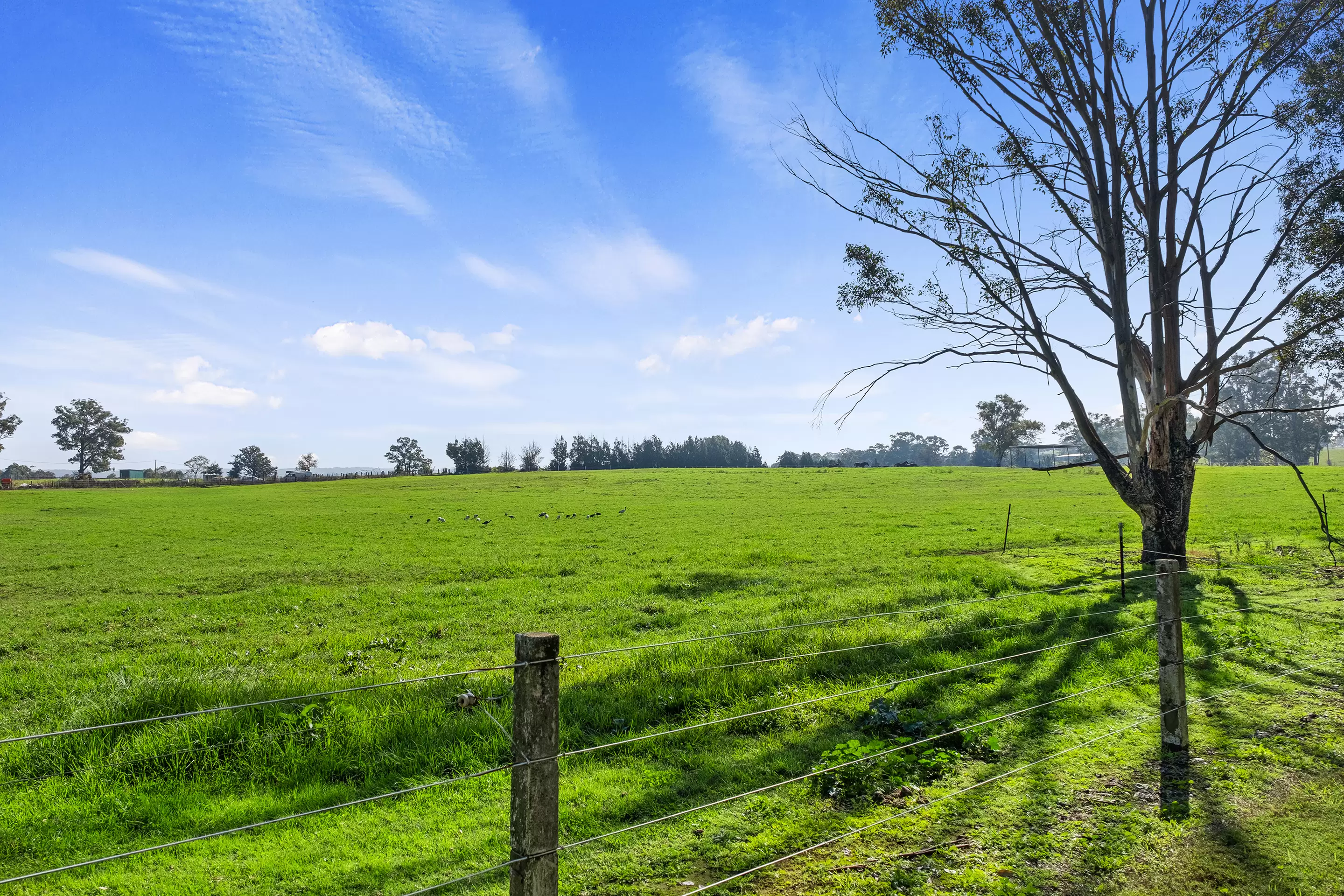 Lot 18, 226-228 Grose River Road, Grose Wold Auction by Cutcliffe Properties - image 4