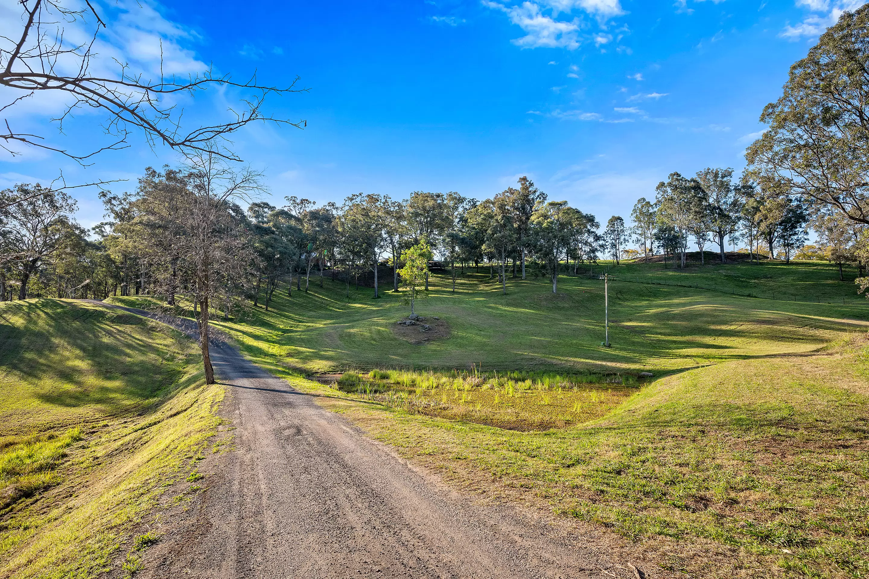 53 Douglas Street, North Richmond For Sale by Cutcliffe Properties - image 18