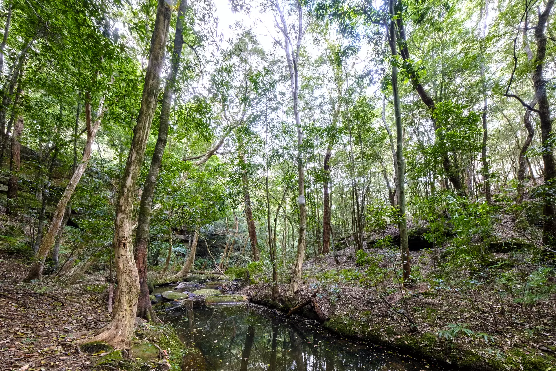 66 Baileys Lane, Kurrajong Hills For Sale by Cutcliffe Properties - image 1