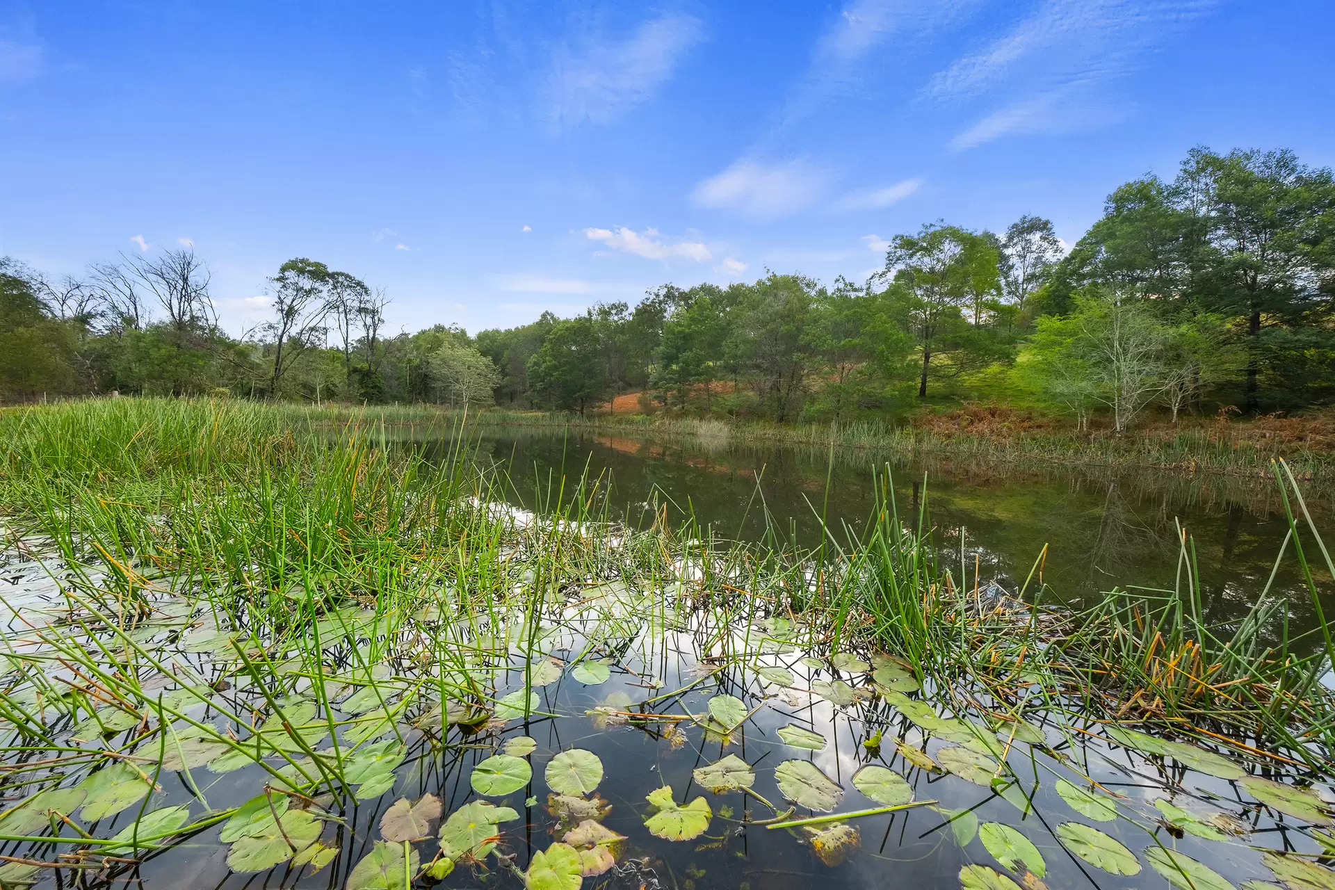 66 Baileys Lane, Kurrajong Hills For Sale by Cutcliffe Properties - image 1