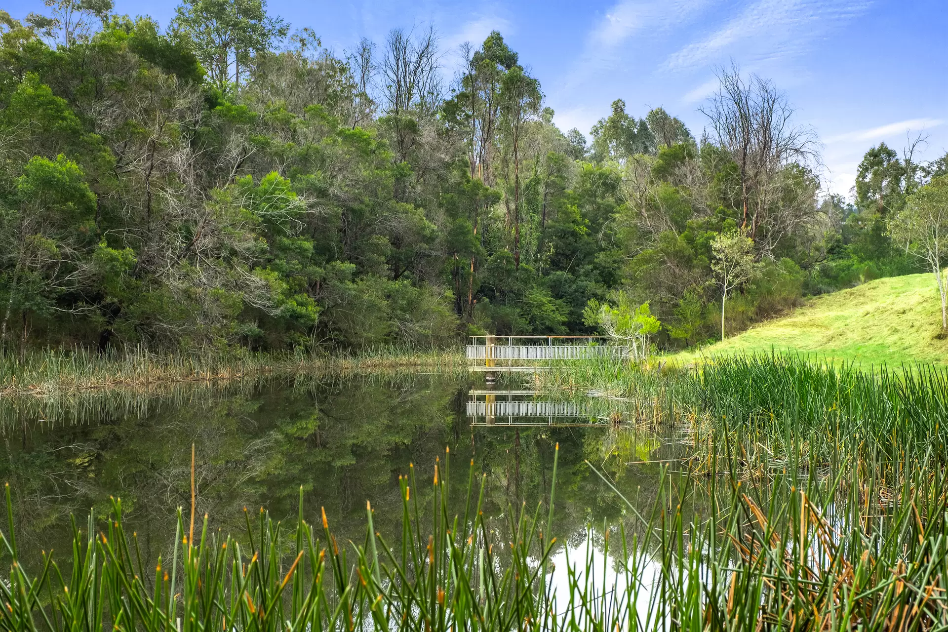 66 Baileys Lane, Kurrajong Hills For Sale by Cutcliffe Properties - image 1